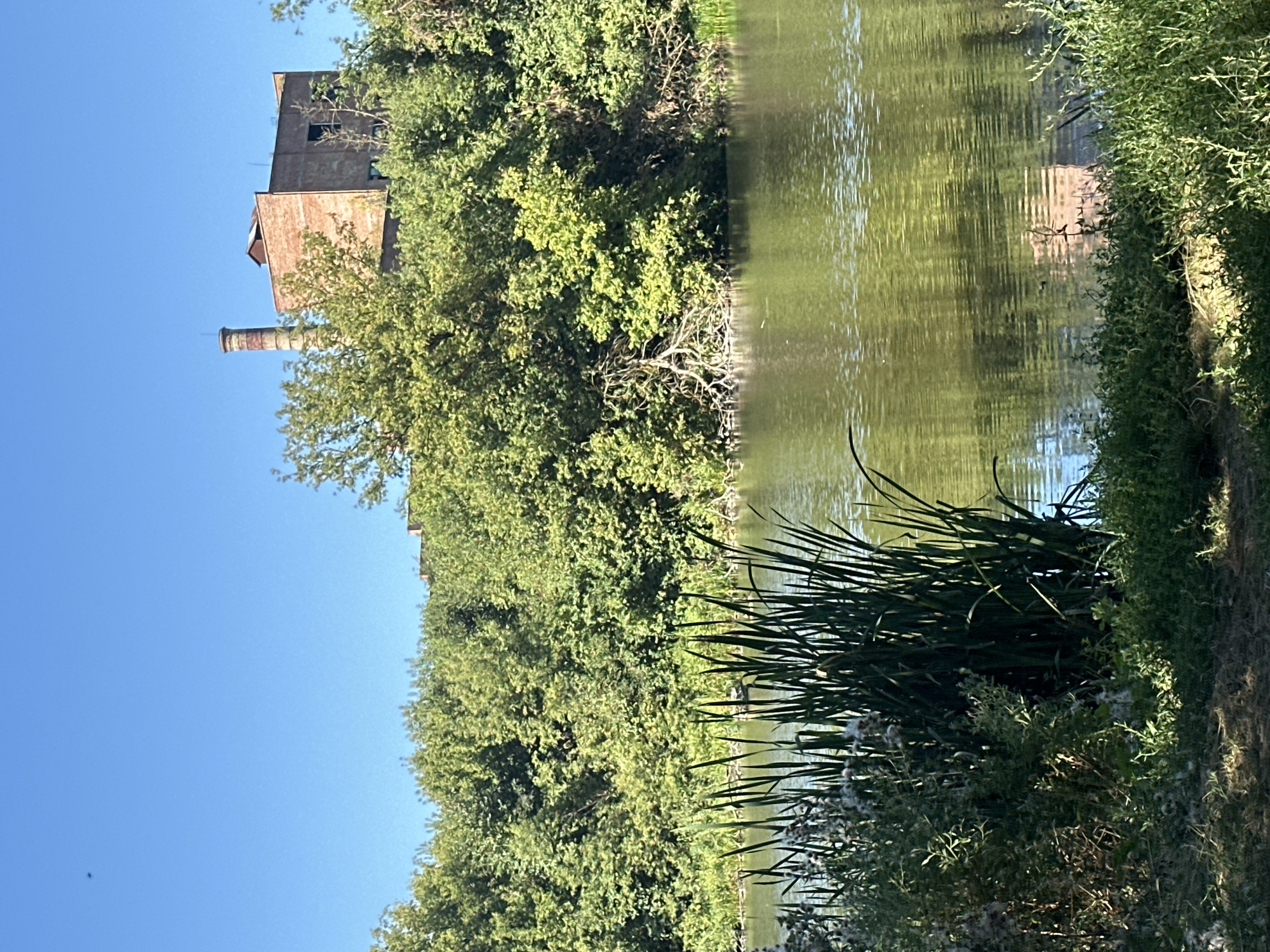 The image depicts an outdoor scene with a body of water in the foreground and a brick building with a smokestack in the background. Lush green trees and vegetation surround the water and line the embankment where the building is situated. The sky is clear and blue. The scene appears to be a tranquil, natural setting, possibly on the outskirts of Makiv, Ukraine, given the presence of what looks like an old industrial structure. The water reflects the green of the trees and the light from the sky. There are no people visible in the image.