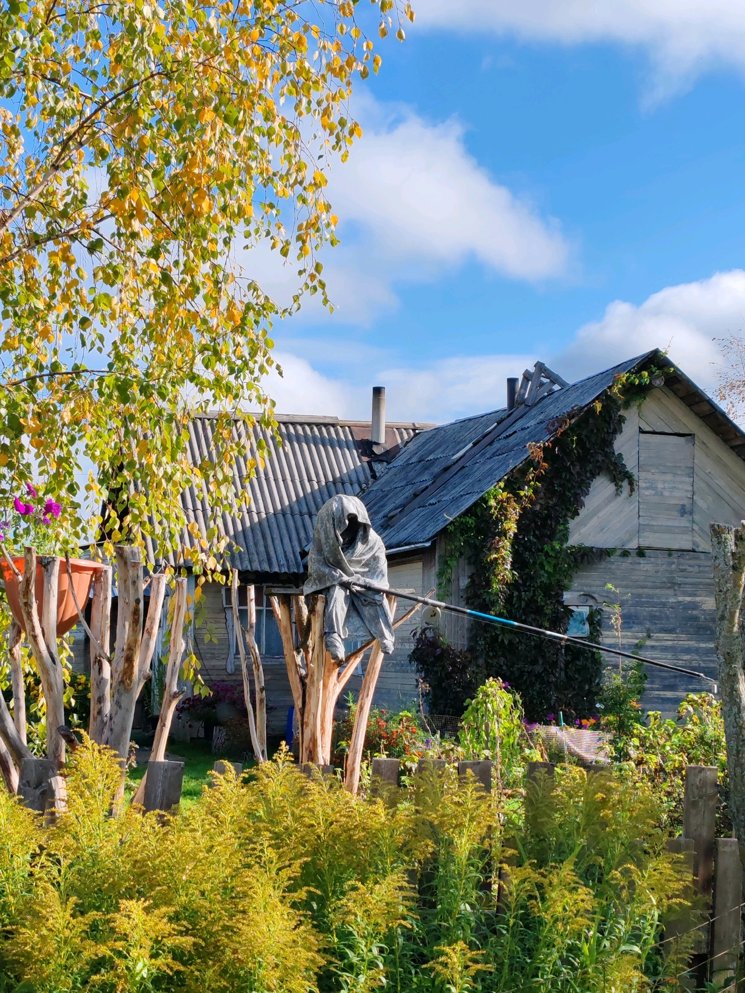 This image depicts an outdoor scene in Чухлэм, Russia, likely a rural setting. In the foreground, a dense thicket of yellow-green foliage is visible, reaching upwards. Behind this, a rustic fence made of rough-hewn wooden posts supports a wire fence. To the left, a tree with yellowing leaves, indicative of autumn, hangs over the scene.
The middle ground features a weathered wooden structure with a corrugated roof. A peculiar statue of a hooded figure, resembling a grim reaper, is seated on wooden supports in front of this structure. The figure is draped in a hooded cloak. The building itself appears aged, with sections of the siding visible and ivy growing up one side of the roof. A chimney protrudes from the roof.
The background shows a bright blue sky dotted with white, fluffy clouds. The overall impression is one of a somewhat neglected but still vibrant rural homestead in autumn.
