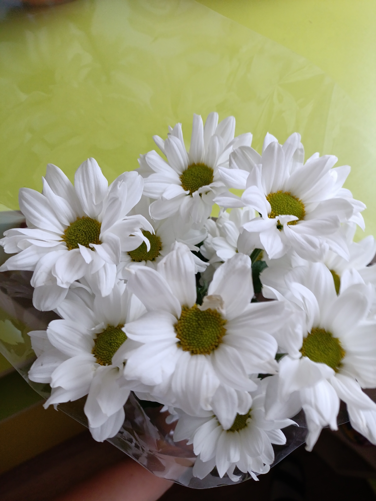 A close-up shot of a bouquet of white daisies with green centers. The bouquet is wrapped in clear plastic, with a lime green background. The location, Chaikovsky, Russia, is not discernable from this image. There are no people or interactions visible. The environment is limited to the bouquet and its immediate background.