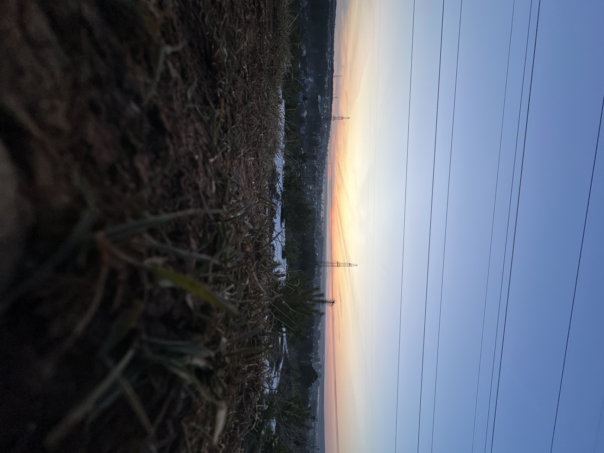 The image captures a low-angle view of a landscape during twilight in Chaikovsky, Russia. In the foreground, there is vegetation, composed of dead grass and sparse green patches. Mid-ground exhibits a distant cityscape with multiple electrical towers silhouetted against a sky that transitions from blue to orange as it nears the horizon. Overhead power lines span the sky. The environment is serene, with no observable human activity.