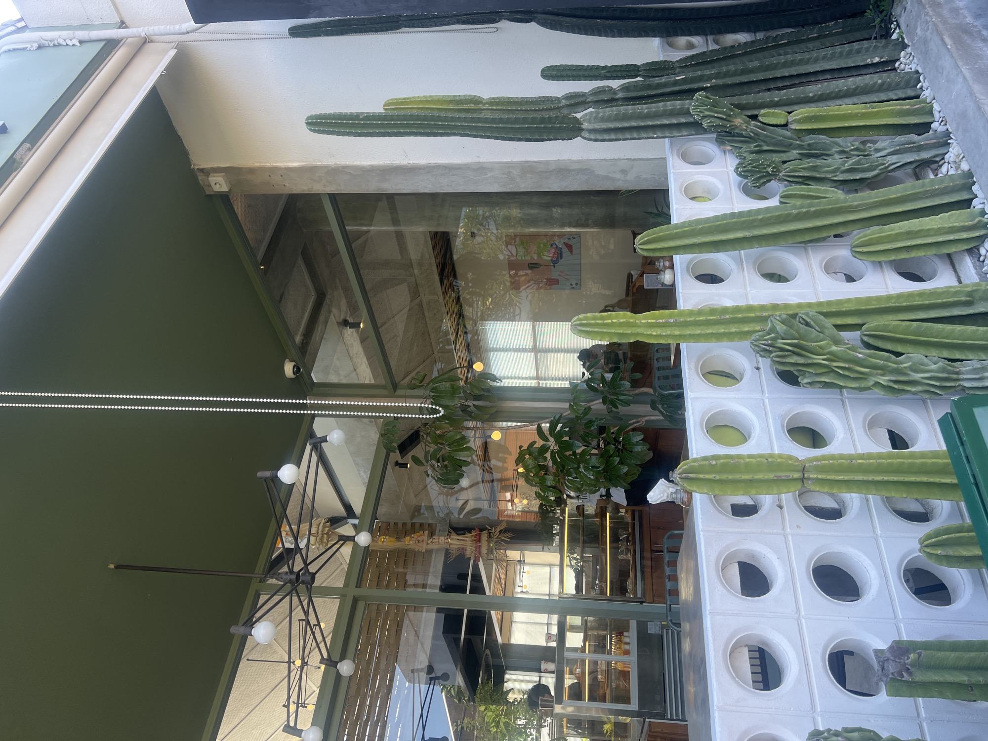 This image captures the exterior and a partial view of the interior of a modern building, likely a cafe or retail establishment, located in North Kuta, Indonesia. The dominant feature of the exterior is a vibrant arrangement of numerous columnar cacti, some very tall, planted both directly into the ground and within a distinctive white block wall that features repeated circular openings. Small white pebbles line the base of the cacti.
The building entrance is marked by a wide glass facade, offering a clear view into the interior. Above the entrance is a deep green overhang or awning, beneath which runs a strip of bright white LED lights. A security camera is visible mounted on the underside of this green structure.
Inside the building, visible through the glass, are elements of contemporary design: exposed concrete ceilings or beams, and a large, dark-colored modern chandelier with multiple white globe bulbs. Various leafy green plants are strategically placed inside, contributing to a fresh aesthetic. A framed artwork or poster with abstract figures in red and blue is visible on a back wall. Reflections in the glass hint at bright daytime conditions outside, and possibly a person with dark hair, seen faintly standing or sitting within the establishment.
The scene suggests a sunny day, with ample natural light illuminating the area. The architecture and landscaping, characterized by the extensive use of cacti and clean lines, create a stylish and inviting atmosphere. No discernible text is clearly visible in the image.