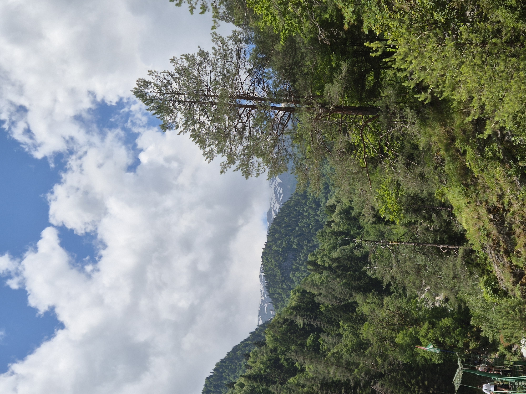 The image shows a lush, mountainous landscape under a partly cloudy sky. In the foreground, a tall pine tree stands prominently on the right side of the frame. The middle ground is filled with dense green foliage, including various trees and shrubs covering steep hillsides. Further in the background, more mountains are visible, some with patches of snow near their peaks. The sky is a vibrant blue, interspersed with large, white, fluffy clouds.
On the left side of the image, a metal walkway or bridge structure is visible, with two individuals standing on it. One person is wearing white shorts and a dark top, while the other is wearing dark shorts and a light-colored top. A flag, predominantly green and white with some orange, is attached to a pole near the walkway. The overall scene is one of natural beauty, likely a park or a hiking trail in a mountainous region.