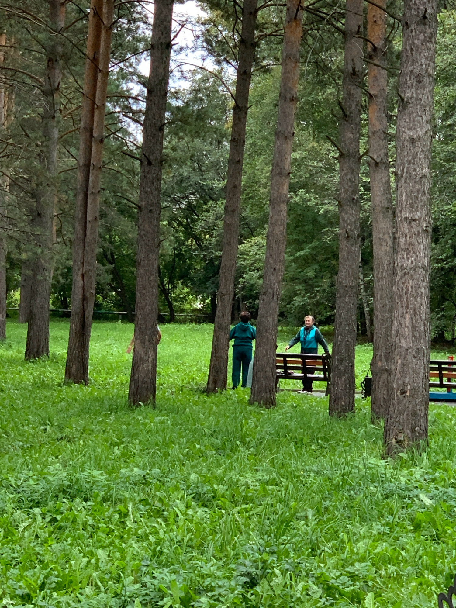In Prokopyevsk, Russia, a photograph captures a serene outdoor scene. Tall pine trees with rough bark dominate the foreground, their trunks forming a natural barrier and creating a sense of depth within the lush green meadow. Sunlight filters through the dense canopy, casting dappled shadows on the vibrant grass.
In the mid-ground, two individuals are visible. On the left, a person dressed in a dark green tracksuit stands facing away from the camera, partially obscured by a tree trunk. To the right, another individual wearing a blue vest over a dark top and pants stands at a park bench. The bench itself has a wooden seat and back, with some metal framing. The person is holding onto the back of the bench.
The environment suggests a park or a recreational area, with a well-maintained grassy expanse and the presence of park benches. The background is a blur of more trees and foliage, indicating a wooded area. The overall atmosphere is peaceful and natural, with a hint of human activity.