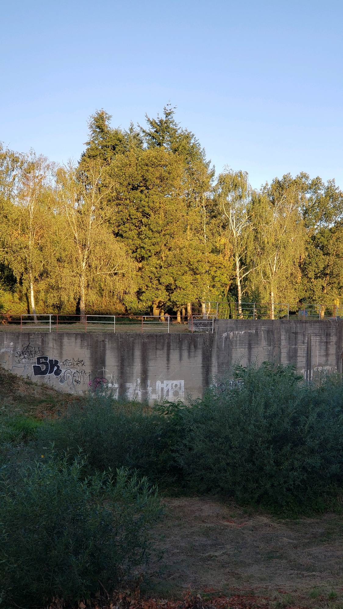 The image captures a scene featuring a concrete wall covered in graffiti, with a line of trees and a clear sky in the background. The concrete wall is roughly textured and shows signs of weathering. On the wall, several graffiti tags are visible, including a prominent black "5B" tag on the left side and other colorful markings. Above the wall, a metal railing separates the wall from a grassy area with trees. The trees vary in type and foliage density, with some appearing autumnal in color. The sky above is a clear, pale blue. In the foreground, dense green bushes obscure the lower part of the scene. The lighting suggests it is either early morning or late afternoon, casting a warm glow on the trees. This location is identified as being in Prešov, Slovakia.