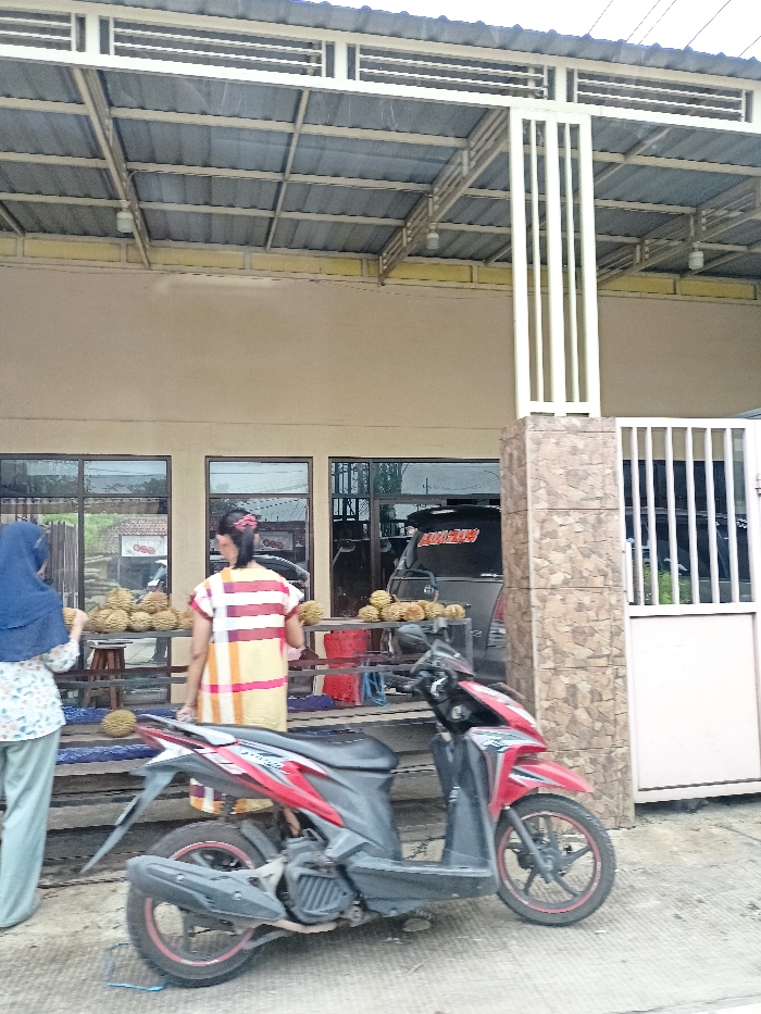 The image depicts an outdoor scene in Ngoro, Indonesia, featuring a durian fruit stall set up in front of a building. The building has a light beige facade with several large windows and is covered by a wide, corrugated metal roof or awning, supported by a light-colored metal frame and a stone-clad pillar on the right. A white metal gate is situated next to the pillar.

In the foreground, two motorbikes are parked on a paved surface. The one on the right is a red and black scooter with red wheel rims, fully visible and facing right. Another dark-colored motorbike with red accents is partially visible on the left.

Two women are standing behind tables displaying numerous large, spiky durian fruits. The woman on the left, seen from behind, wears a light blue hijab, a patterned top, and light trousers. The woman in the middle, also seen from behind, wears a yellow, red, and white plaid short-sleeved top with her hair tied back. Both appear to be either vendors arranging the durians or customers making selections, indicating a fruit sale. Red plastic containers are visible beneath the display tables.

A dark-colored car or van is parked behind the durian stalls, partially visible through the windows. Red text on its rear window appears to read "DURIAN ZON," confirming the business type. The scene is brightly lit, suggesting daytime, likely with an overcast sky as the light is diffused. The overall atmosphere is casual, characteristic of a roadside market.