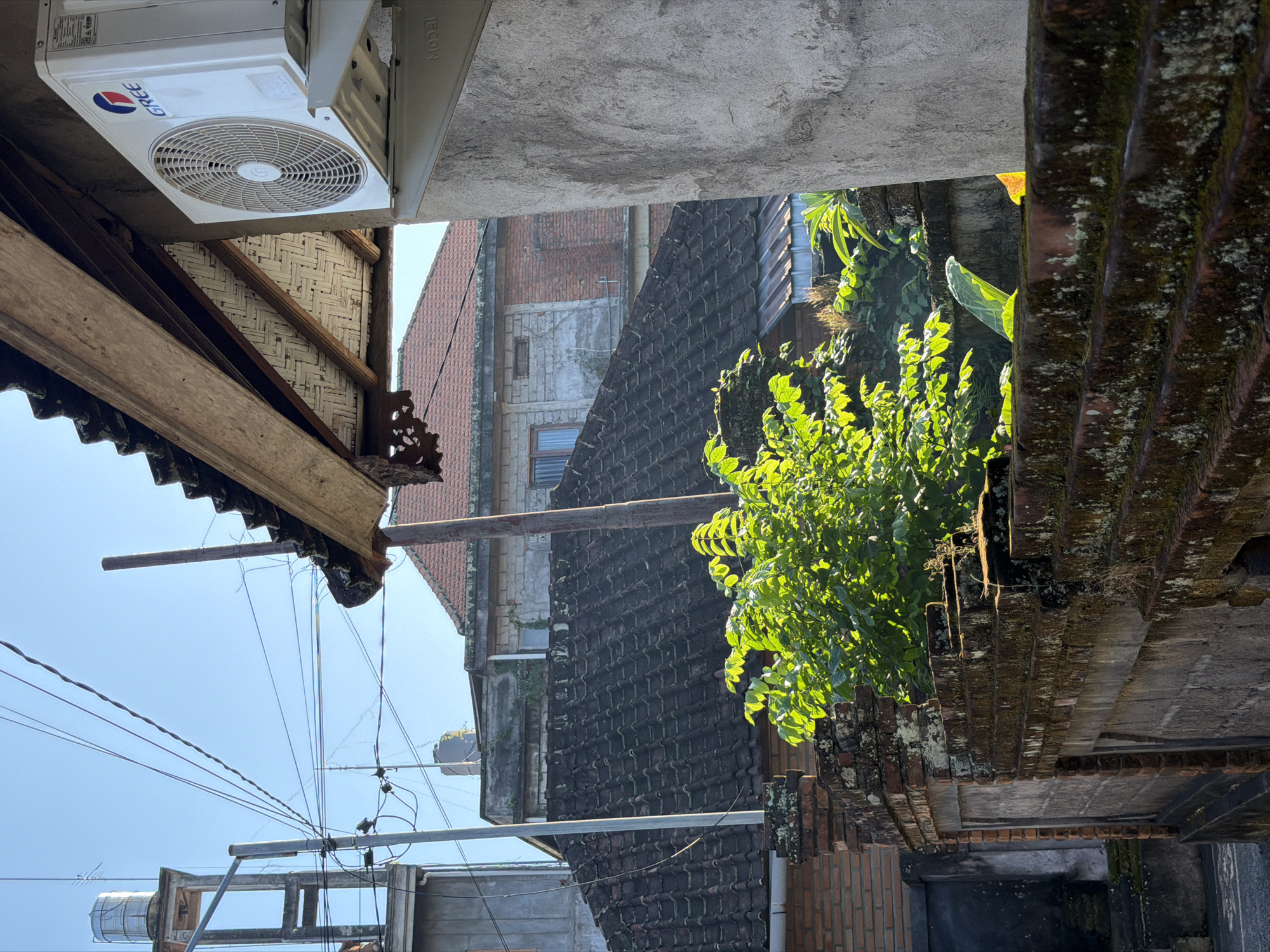 In Ubud District, Indonesia, the image captures a residential exterior scene bathed in bright sunlight. The foreground is dominated by a moss-covered brick wall and a lush green bush, with its leaves illuminated by the sun. Behind this, a dark tiled roof extends across the frame, partially obscuring a multi-story building constructed with a combination of brick and lighter colored materials. Further in the background, another building with a red tiled roof and brickwork is visible. An air conditioning unit, branded "GREE", is mounted on a textured concrete pillar to the right. Utility poles and wires crisscross the bright blue sky, suggesting an urban or semi-urban environment. The overall impression is one of a warm, sunny day in a densely built area with a mix of traditional and modern architectural elements.