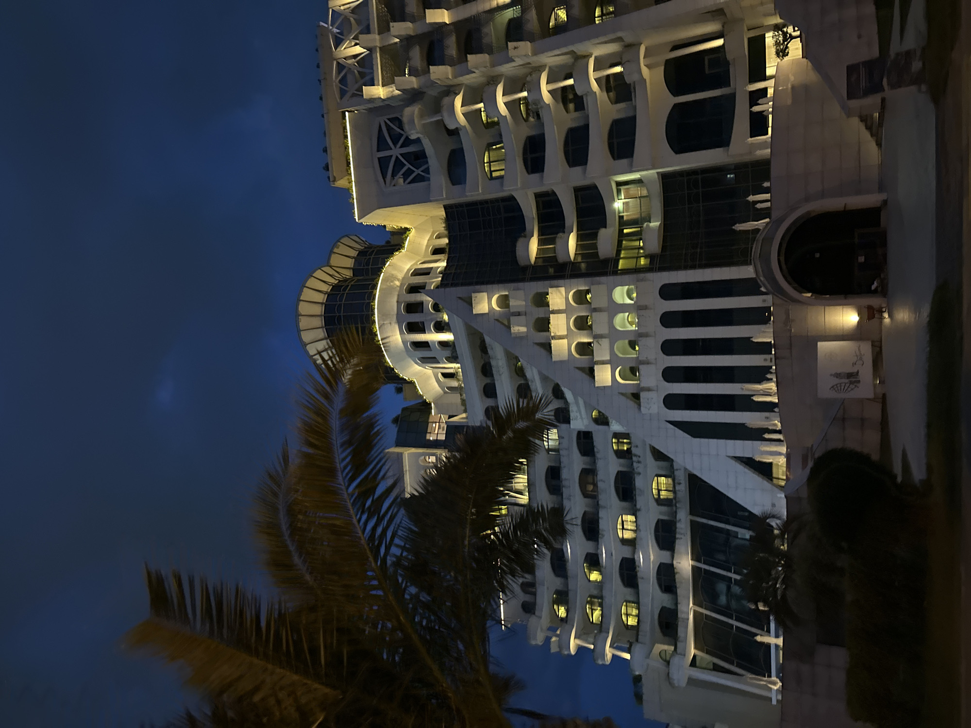 The image captures a night scene in Batumi, Georgia, featuring a distinctive, multi-tiered white building with ornate architectural elements. The building, likely a hotel or resort, is illuminated by warm interior lights, highlighting its curved balconies and arched windows. A large palm tree with dark fronds partially obscures the view on the left side of the frame, adding a tropical touch to the urban landscape. The sky above is a deep, dark blue, suggesting it is late evening or night. The foreground shows a dark, possibly paved area, with hints of greenery and streetlights. The overall impression is one of a luxurious and visually striking building set against a twilight sky.