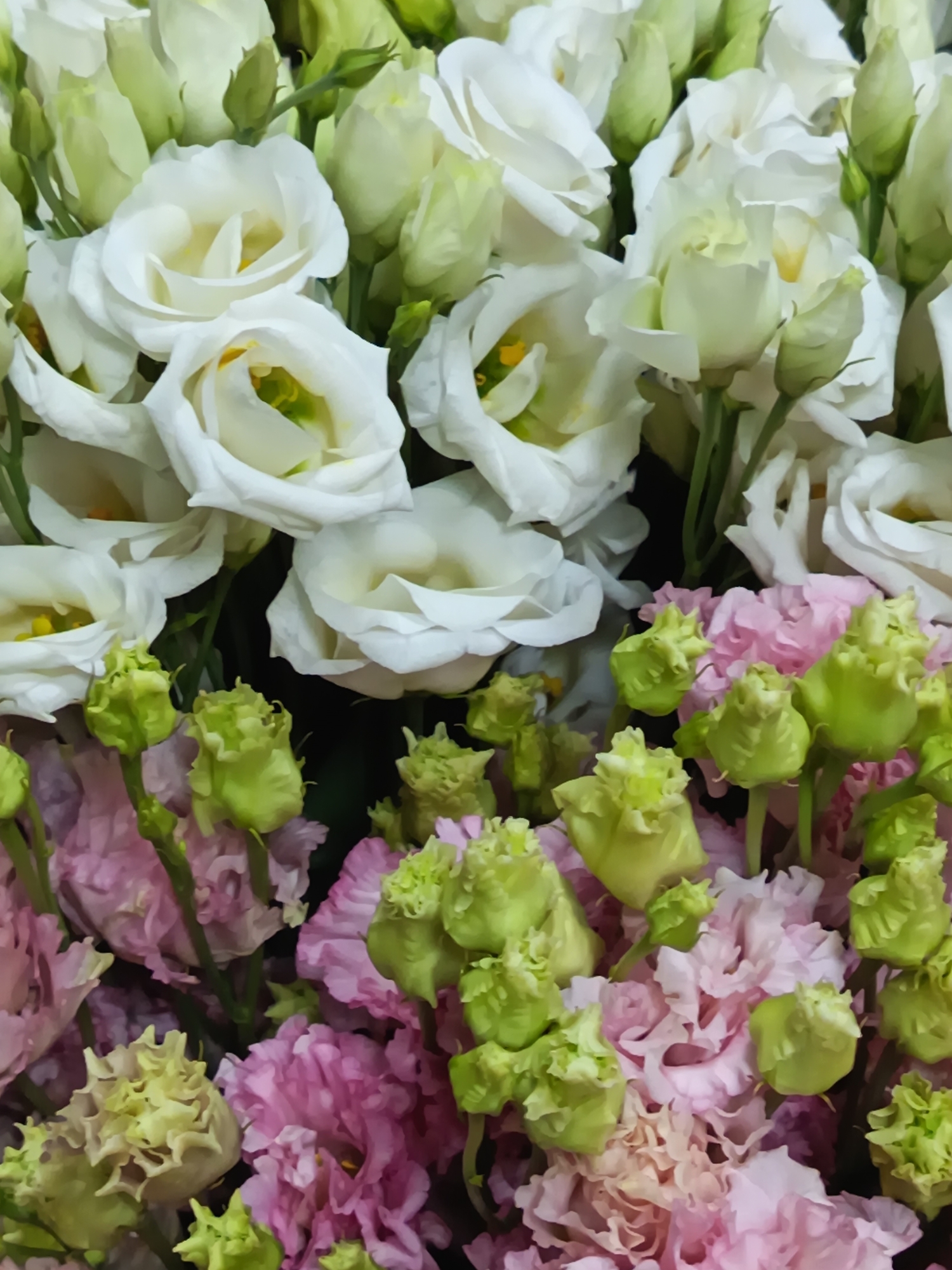 The image shows a close-up of a floral arrangement. The top half is dominated by white flowers resembling roses or lisianthus, with tightly closed, light green buds interspersed. The lower half features pink flowers, also resembling roses or lisianthus, mixed with similar light green buds. No people, actions, or interactions are visible. The environment consists solely of the floral arrangement itself. The image does not show Nizhnevartovsk, Russia.