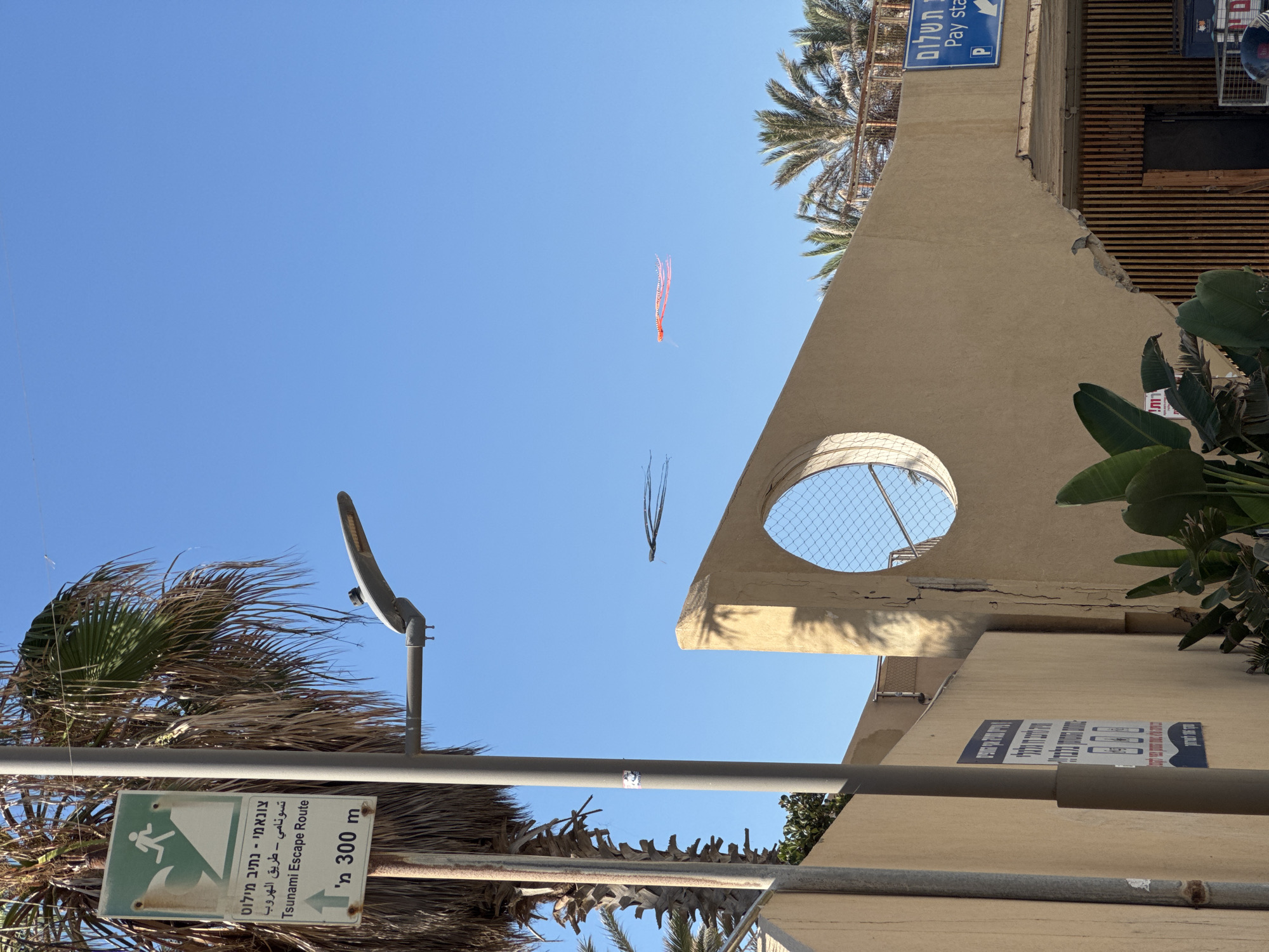 The image, taken in Netanya, Israel, shows a clear blue sky with two kites flying. One kite is dark and appears to be made of thin, wispy material, while the other is a long, orange kite with white markings. Below the kites, a tan-colored building with a circular opening covered by a mesh fence is visible. To the left of the building, a utility pole with a sign indicating a "Tsunami Escape Route" is situated next to a palm tree. Further to the left, a beige wall with a blue sign containing Hebrew text and an arrow is present. The environment suggests an outdoor setting, possibly near a coastal area given the tsunami warning sign.