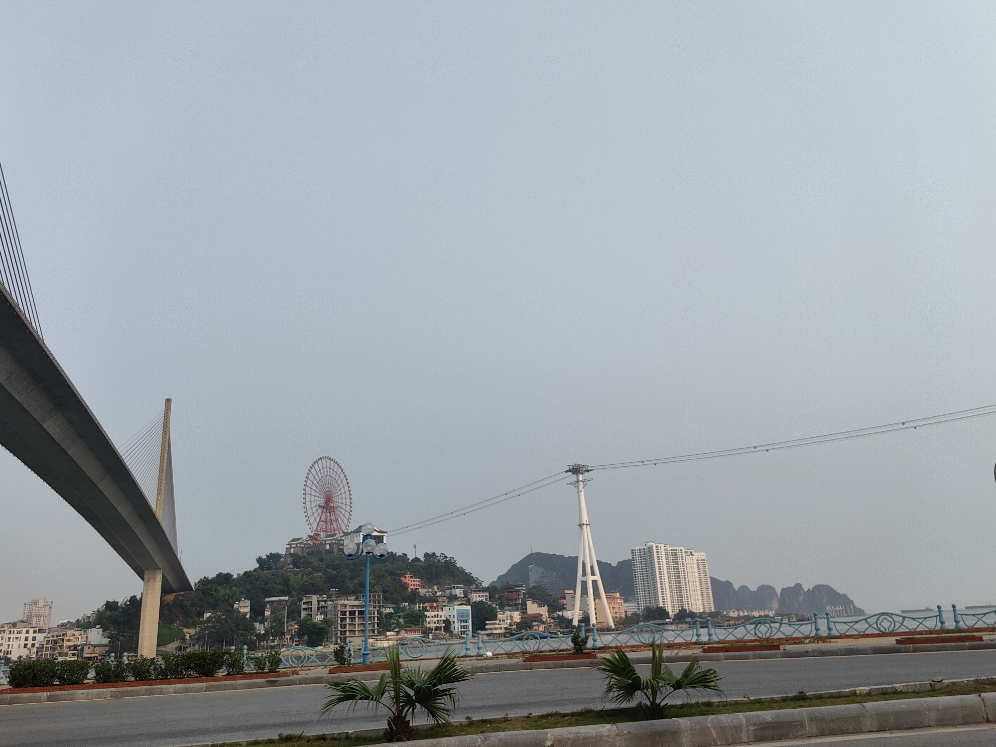 The image depicts a scene in Bai Chay Ward, Vietnam, showcasing a bridge extending into the sky on the left, and a ferris wheel atop a hill at center. The cityscape features buildings of varying sizes, including a tall white residential building, set against a backdrop of islands on the water. In the foreground, there's a road with two young palm trees planted along the roadside. Decorative fencing runs along the embankment near the road. The sky is overcast and light in color.