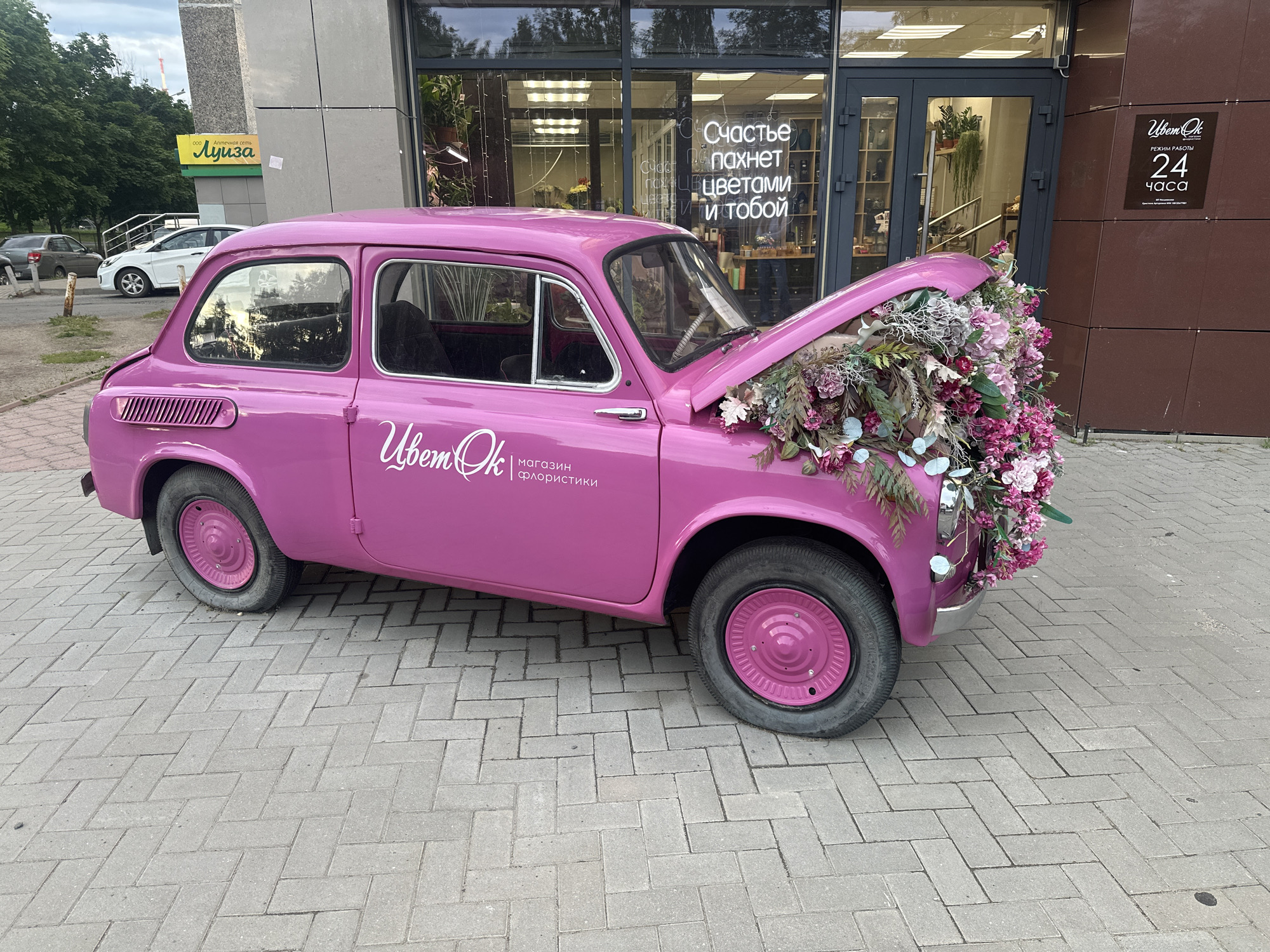 A bright pink vintage car is parked on a brick sidewalk in front of a modern building. The car's hood is open and overflowing with a dense arrangement of colorful flowers and greenery. Text on the car's side reads "ЦветОк | магазин флористики" which translates to "TsvetOK | florist shop". Above the car, on the building's facade, a sign displays "ООО Аптечная сеть Луиза", indicating a pharmacy named Luiza. The building has large glass windows and doors, revealing interior shelving and plants. A neon sign in the window displays "Счастье пахнет цветами и тобой," meaning "Happiness smells of flowers and you." Another sign on the building states "РЕЖИМ РАБОТЫ 24 ЧАСА," meaning "Working hours 24 hours." The scene is set in Petrozavodsk, Russia.