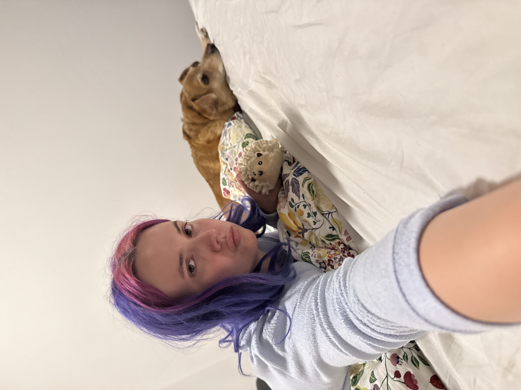 The photograph shows a woman with purple and pink hair taking a selfie while lying on a bed. Her dog is standing behind her near the headboard of the bed. She holds a plush hedgehog toy in her hand. The bed has a white sheet and a pillow with a floral pattern. The setting is indoors, likely in a residence. There is no information available to determine if the location is the city of Zagreb, Croatia, or not.