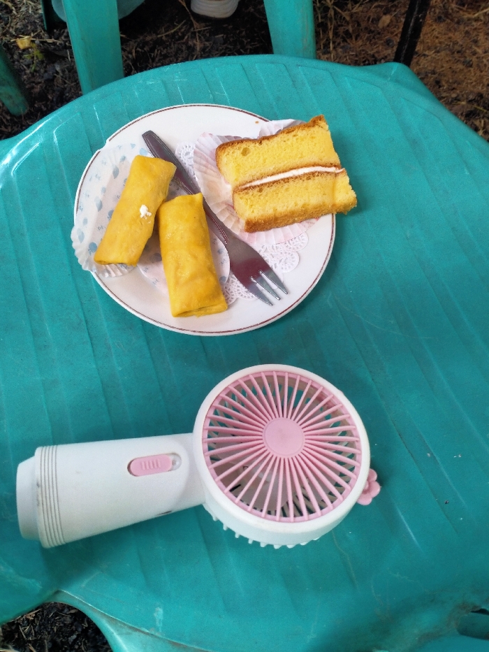 A plate holds two egg rolls and a slice of yellow cake with a white cream filling. A silver fork rests on the plate. Beneath the plate, on a teal-colored surface, is a small, white, handheld fan with pink blades and a flower-shaped button on its side. The background is a mix of teal plastic chairs and earth.