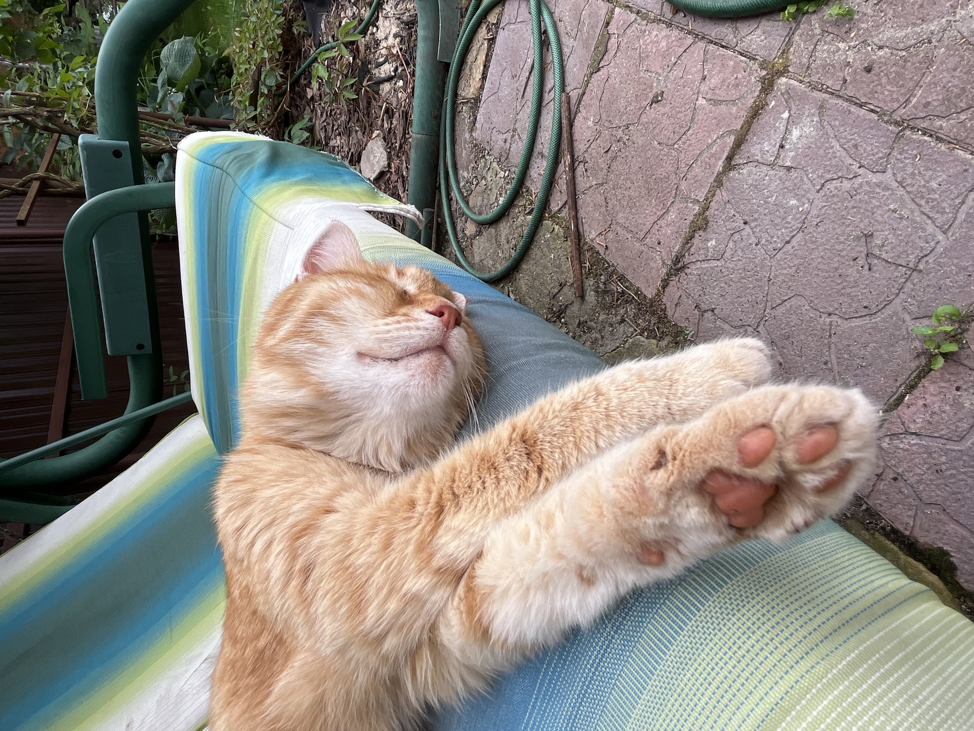 An orange tabby cat is sleeping on a striped cushion, which is part of a garden swing. The cat's paws are extended forward, showing its pink toe beans. The swing is positioned on a patio made of irregular stone pavers. In the background, there is a hose coiled on the ground and some greenery. The image was captured in Veljaminovo, Russia.