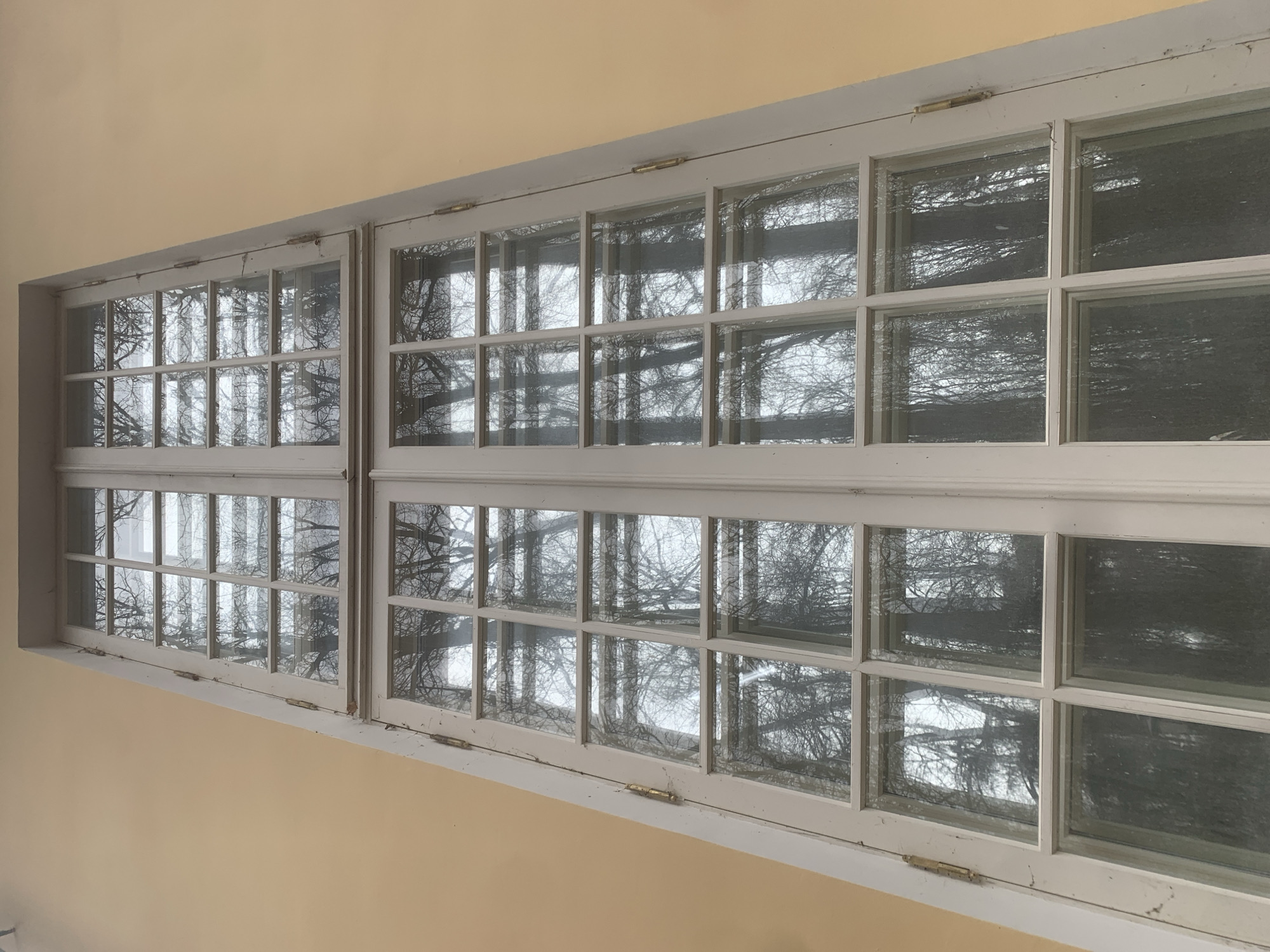 The image depicts two adjacent, multi-paned windows in a cream-colored wall. The windows are white-framed and feature a grid of small glass panes. Through the windows, bare trees are visible, their branches intertwining against an overcast sky. Hinges are visible on the tops and bottoms of the windows, indicating they are likely casement windows. The location is suggested to be Arkhangel'skoe, Russia, though this cannot be confirmed from the image alone. No people or actions are visible in the image. The environment appears to be outdoors, with a focus on the trees and the exterior of a building.