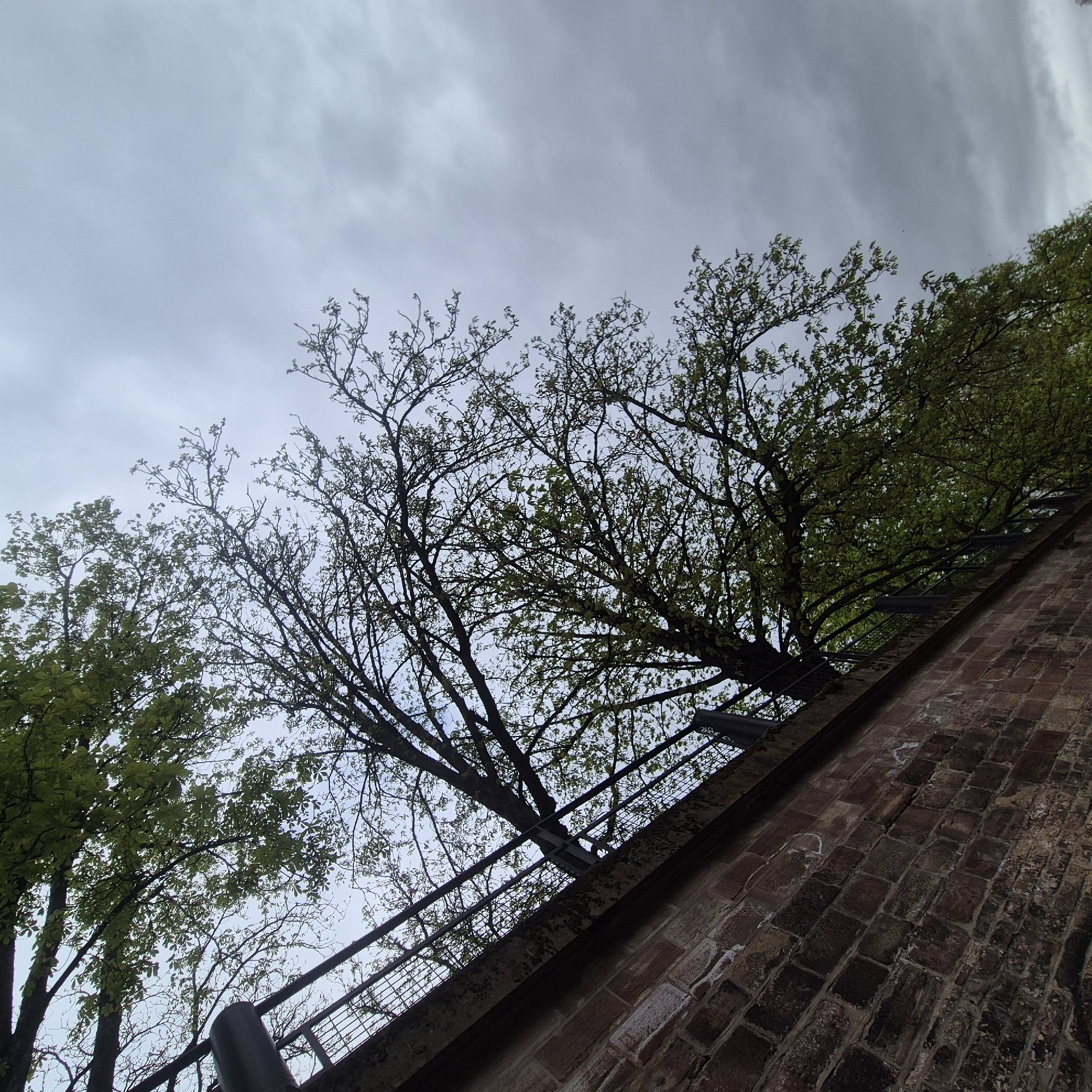 The image captures a view of a brick wall with metal railings running along its top edge. Trees with budding green leaves are visible above the wall, set against a cloudy sky. The perspective is from a low angle, looking upwards. This scene is likely located in Strasbourg, France, based on the architectural style of the brickwork and the characteristic urban environment.