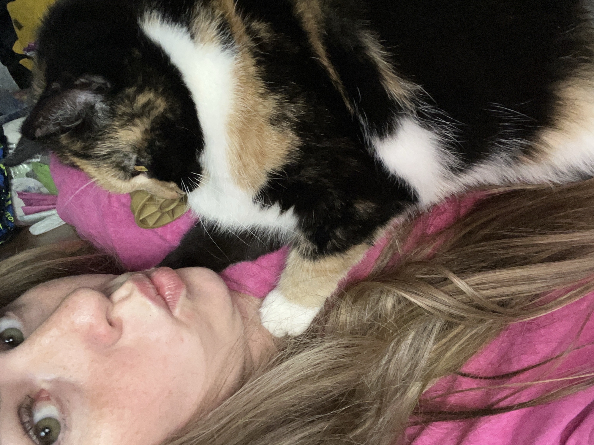 A calico cat is lying on a woman's head. The woman is lying on her back, looking up at the camera with wide eyes. She has fair skin and light brown hair. She is wearing a pink top. The cat has a collar with a tag. The background is slightly cluttered. The location is not discernible from the image.