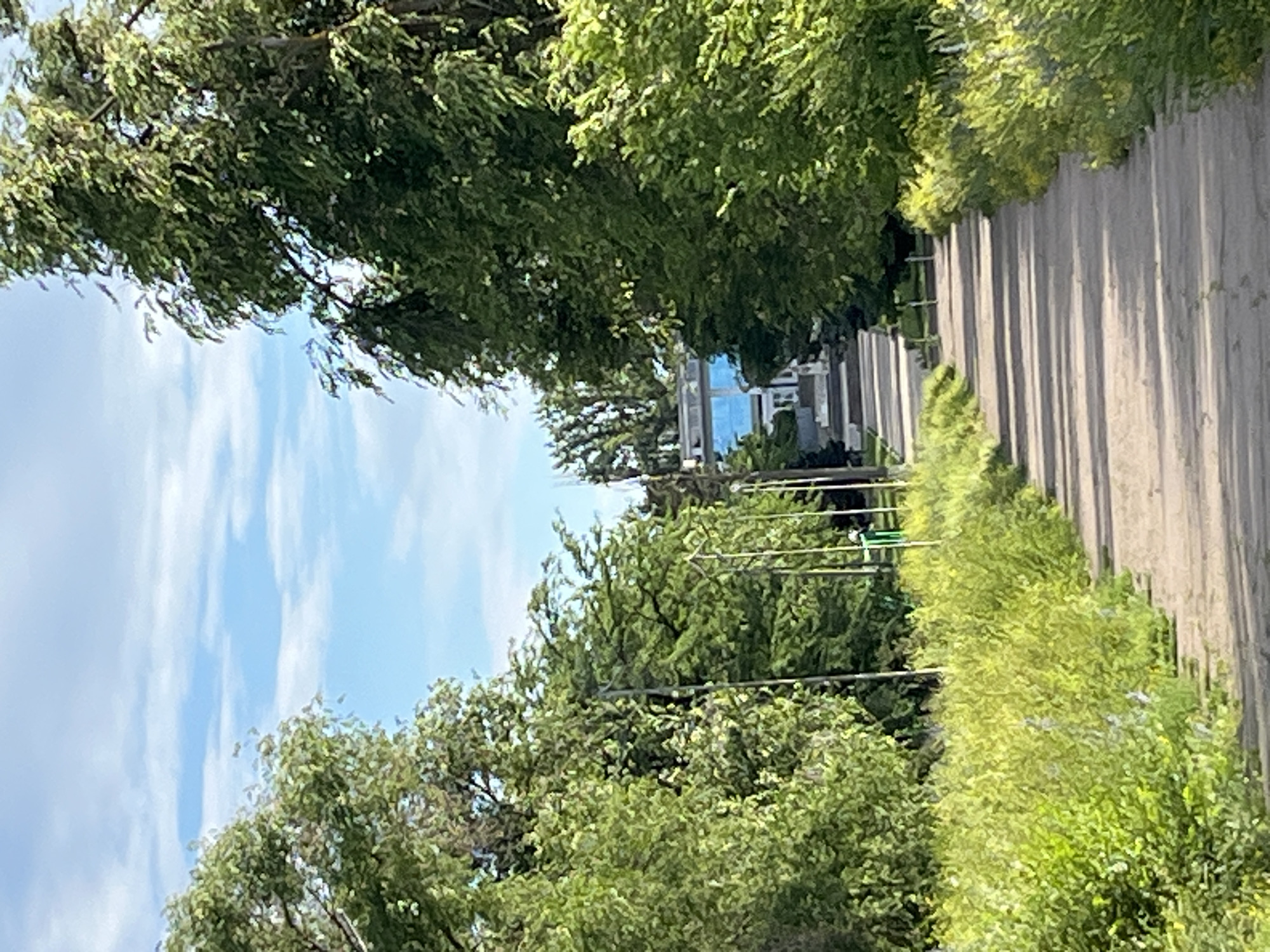 The image shows a pathway in a park or green space, likely in Shyroka Dacha, Ukraine. The pathway is made of a light-colored, possibly asphalt or gravel material and is bordered on both sides by lush green foliage. Tall trees with dense canopies flank the pathway, casting shadows across it, indicating it's daytime. In the distance, a modern building with large blue-tinted windows is visible at the end of the pathway, suggesting it might be a public facility or a residential building. The sky is a clear blue with scattered white clouds. There are no people visible in the image. The overall scene depicts a serene outdoor setting with a well-maintained pathway leading towards a contemporary structure amidst abundant vegetation.