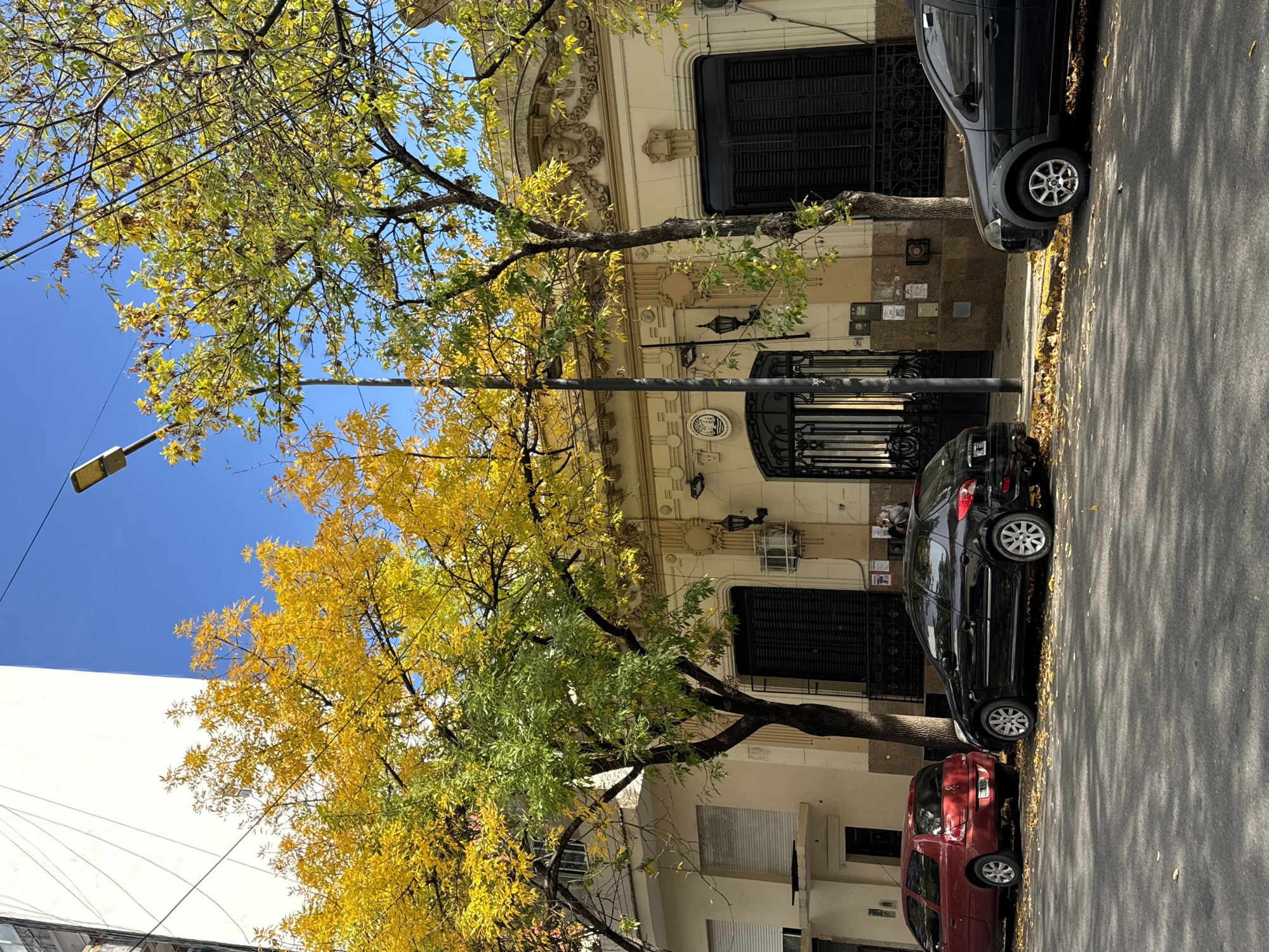 The image shows a street scene in Buenos Aires, Argentina. The sky is blue and mostly clear. A tree with yellow and green leaves dominates the left side of the frame, partially obscuring a multi-story building. Several parked cars line the street, including a dark gray SUV in the upper right, a black hatchback, and a red car. The building behind the cars is light-colored with ornate architectural details above the ground floor. The building appears to be a residential building or small apartment building. There is an elaborate wrought iron gate that leads to the entrance. The street is paved and covered in scattered fallen leaves. A streetlight is visible above the trees.