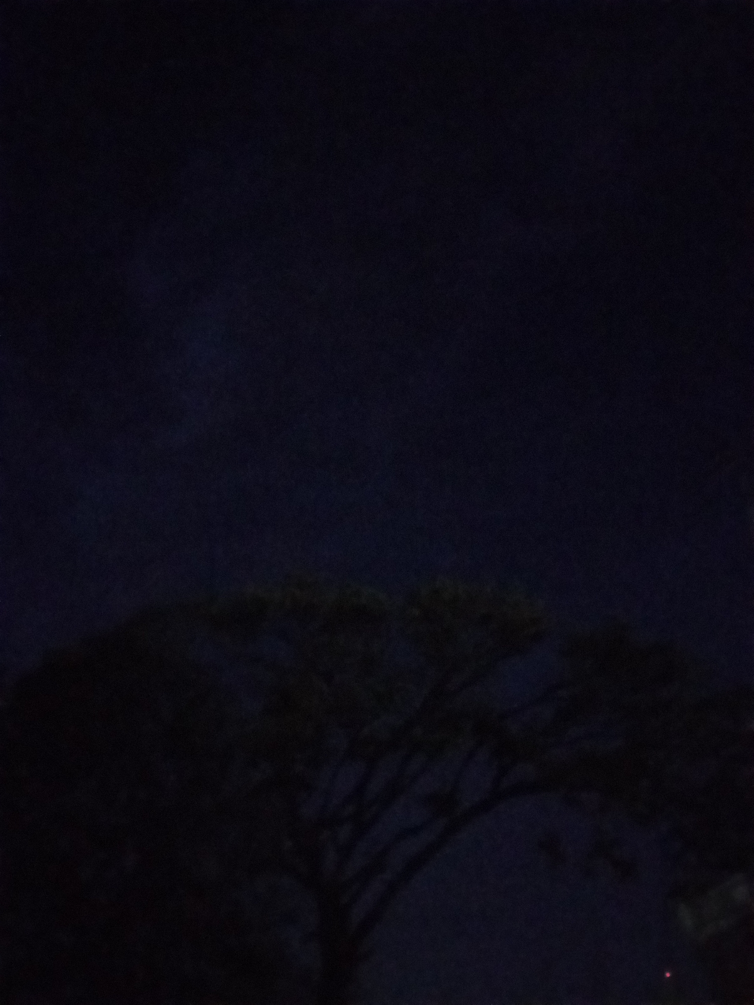 The image depicts a dark scene, likely taken at night. A silhouette of a tree is visible in the foreground. The location is reported as the city of Juan Griego, Venezuela, but there is no corroborating information in the image itself. No people are visible.