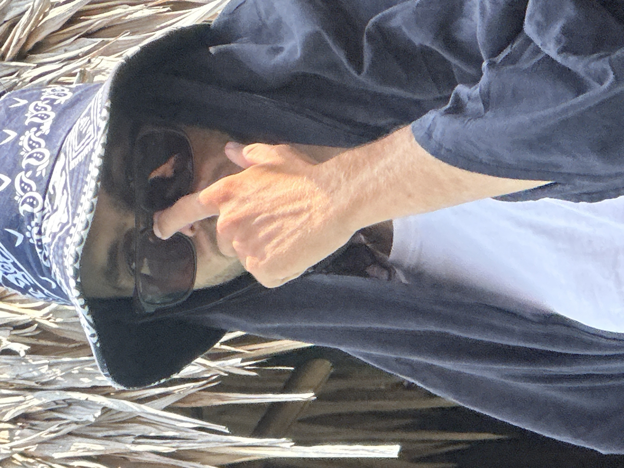 A person wearing a dark blue bandana-style hat and sunglasses is partially obscured by a dark blue hooded garment. They are touching their nose with their right index finger. The background consists of dried, thatched material, likely part of a structure or natural vegetation. The image is a close-up shot of the person's face and upper body. The location is not specified within the image itself or its metadata.