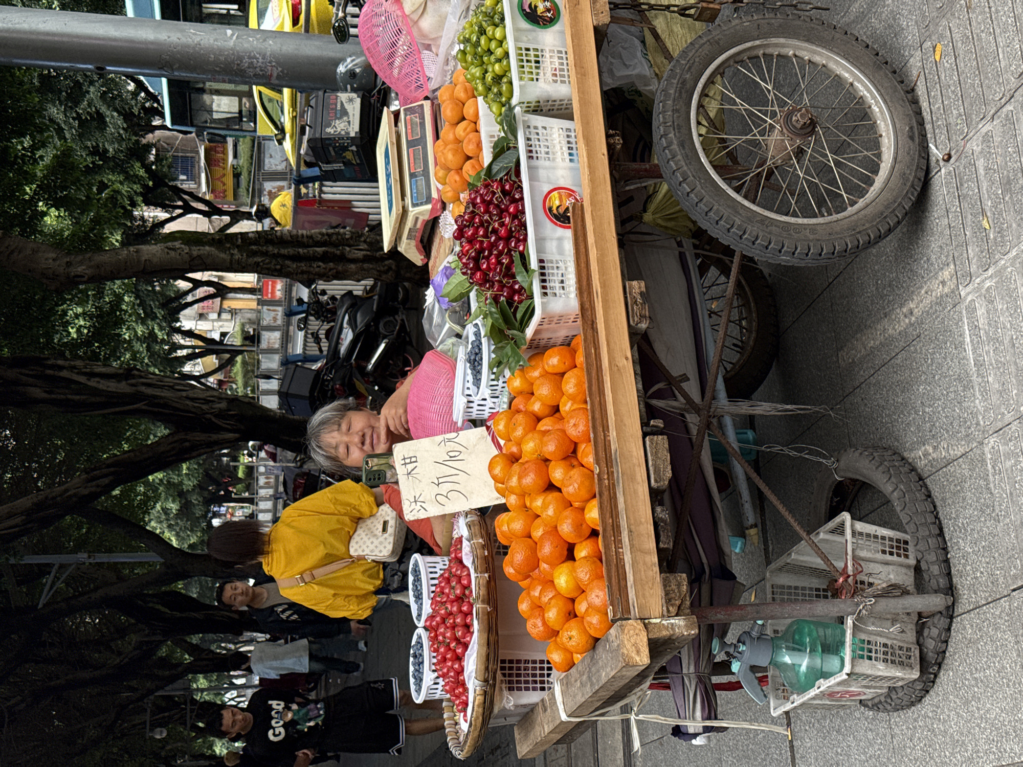 The image depicts a fruit vendor in Nan'an District, China. The vendor, an older woman wearing a pink top, sits behind a wooden cart laden with various fruits: oranges, apricots, green grapes, cherries, blueberries, and tomatoes. A sign with Chinese characters indicates pricing. The cart, featuring two wheels, is parked on a paved walkway lined with trees. Pedestrians walk by in the background. A glimpse of street traffic and buildings can be seen behind the trees.