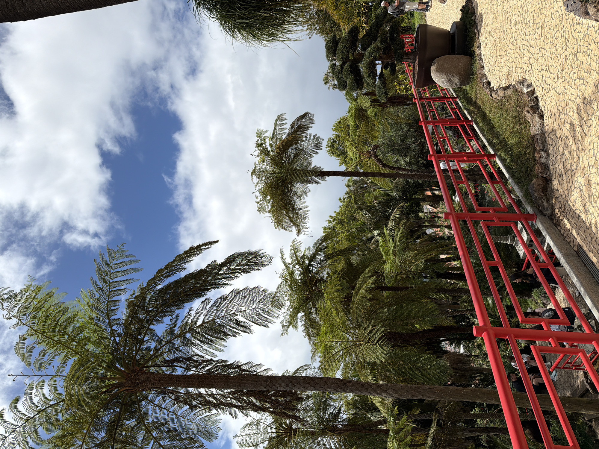 The image shows a view upwards through tree ferns towards a blue sky with scattered white clouds. A red metal structure, possibly a railing or part of an architectural feature, is prominent on the right side of the frame. Adjacent to it is a paved walkway with irregular stone patterns. In the upper right corner, there are glimpses of people and other trees, suggesting a park or garden setting. The perspective is from a low angle, emphasizing the height of the ferns and the sky above. The scene is likely set in the Monte Palace Tropical Garden in Funchal, Portugal, known for its extensive collection of exotic plants and Oriental gardens.