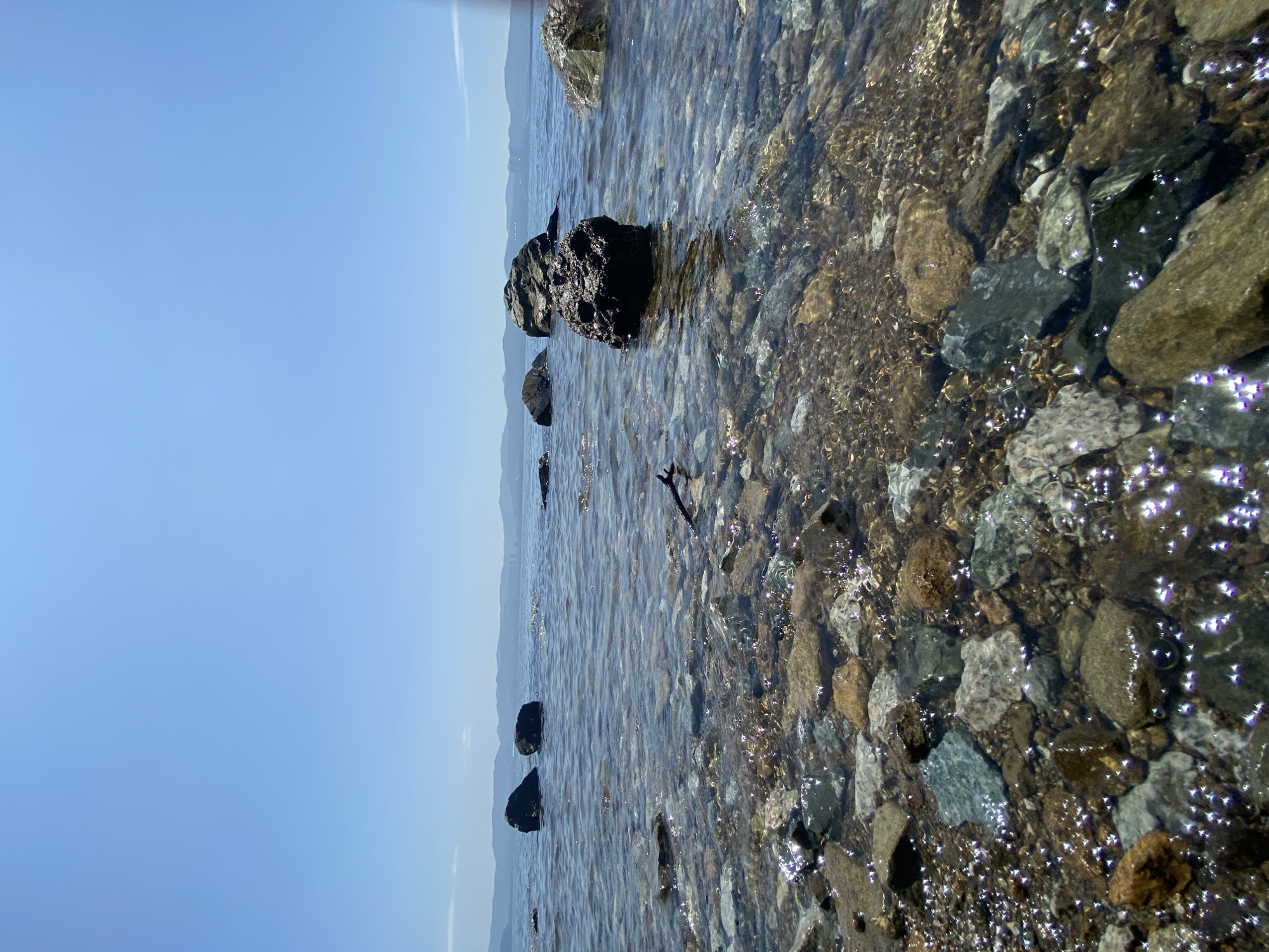 The image captures a low-angle view of a rocky shoreline on a clear, sunny day. The foreground is dominated by numerous water-worn stones of varying sizes and colors, submerged in shallow, clear water. The sunlight glints off the water's surface, creating bright reflections. A small, dark twig rests on the water near the center of the frame.
In the mid-ground, several larger rocks break the surface of the water, with one particularly dark, textured rock prominently positioned. Beyond these, the calm water stretches towards a distant horizon. In the far distance, a faint, hazy outline of mountains can be seen, with hints of structures suggesting a city or town nestled along the coast. The sky is a vast expanse of clear, pale blue.
This scene is consistent with the appearance of many natural shorelines found in and around Vladivostok, Russia, particularly along the coastlines of the Ussuri Bay or Peter the Great Gulf. The combination of rocky beaches, clear water, and mountainous horizons is characteristic of the Primorsky Krai region. There are no people or animals visible in the image, and no specific human activities are depicted. The focus is entirely on the natural landscape.