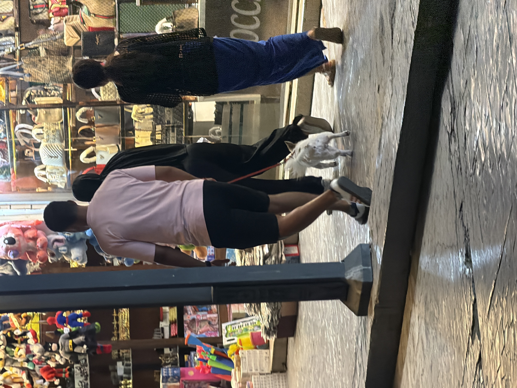 The image shows two people and a small dog in what appears to be an outdoor market or shopping area. One person, wearing a black top and a blue skirt, is standing and looking towards the right. They have dark hair. The other person, wearing a pink t-shirt and black shorts, is bent over or crouched down, facing the dog. The dog is white with black spots and is on a red leash. The ground appears to be paved and textured.
In the background, there are displays of handbags and other merchandise, suggesting a retail environment. Some items look like they could be souvenirs or tourist goods. The lighting suggests it might be daytime, possibly late afternoon or early evening, given the shadows. The overall scene has a casual, everyday feel.
There is some text visible in the background, but it is largely illegible due to the image quality and orientation. One prominent word that is partially visible on a sign behind the person in the blue skirt appears to be "OCC," likely part of a larger word or phrase. The location context of Sharm El Sheikh, Egypt, suggests a tourist-oriented area. The interaction between the person and the dog implies a moment of care or attention towards the animal.
