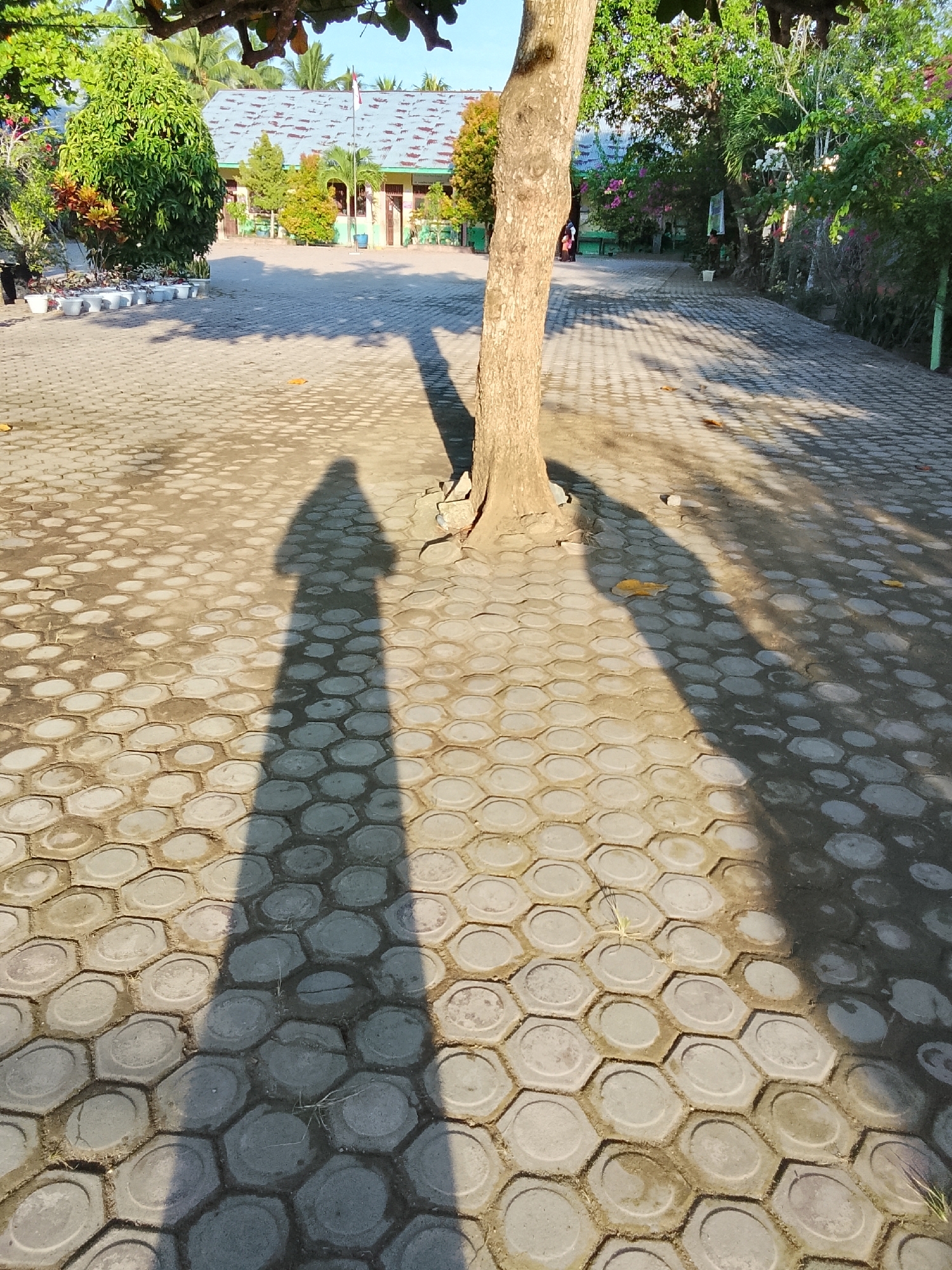 In Baratpayaitek, Indonesia, a paved schoolyard is illuminated by the afternoon sun, casting long shadows from a tree in the foreground. The ground is covered in hexagonal paving stones, some showing wear and tear. A prominent tree trunk stands vertically, with a distinct shadow falling across the paving stones, indicating the sun's low angle. To the left, a long shadow of a person, likely the photographer, stretches across the yard. In the background, a single-story school building with a blue roof and light-colored walls is visible, surrounded by trees and greenery. A flag flies on a pole in front of the building. The overall scene suggests a typical school environment in a tropical climate.
