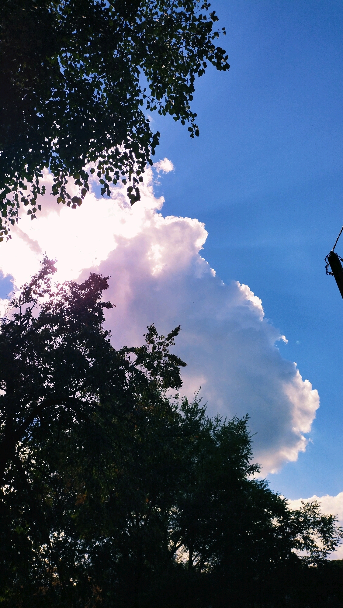 A low-angle shot captures a dynamic sky with a large, fluffy white cloud dominating the center. Sunlight streams through the cloud, creating bright, diffused light and visible sunbeams. The sky is a vibrant blue, with some lighter areas near the cloud. Silhouetted against the sky on the left and bottom are the dark green leaves and branches of trees. A dark, vertical pole, likely a utility pole, is visible on the right side of the image. The scene appears to be outdoors, possibly in a park or residential area within Horishni Plavni, Ukraine, given the presence of trees and utility infrastructure. There are no people or animals visible in the frame.