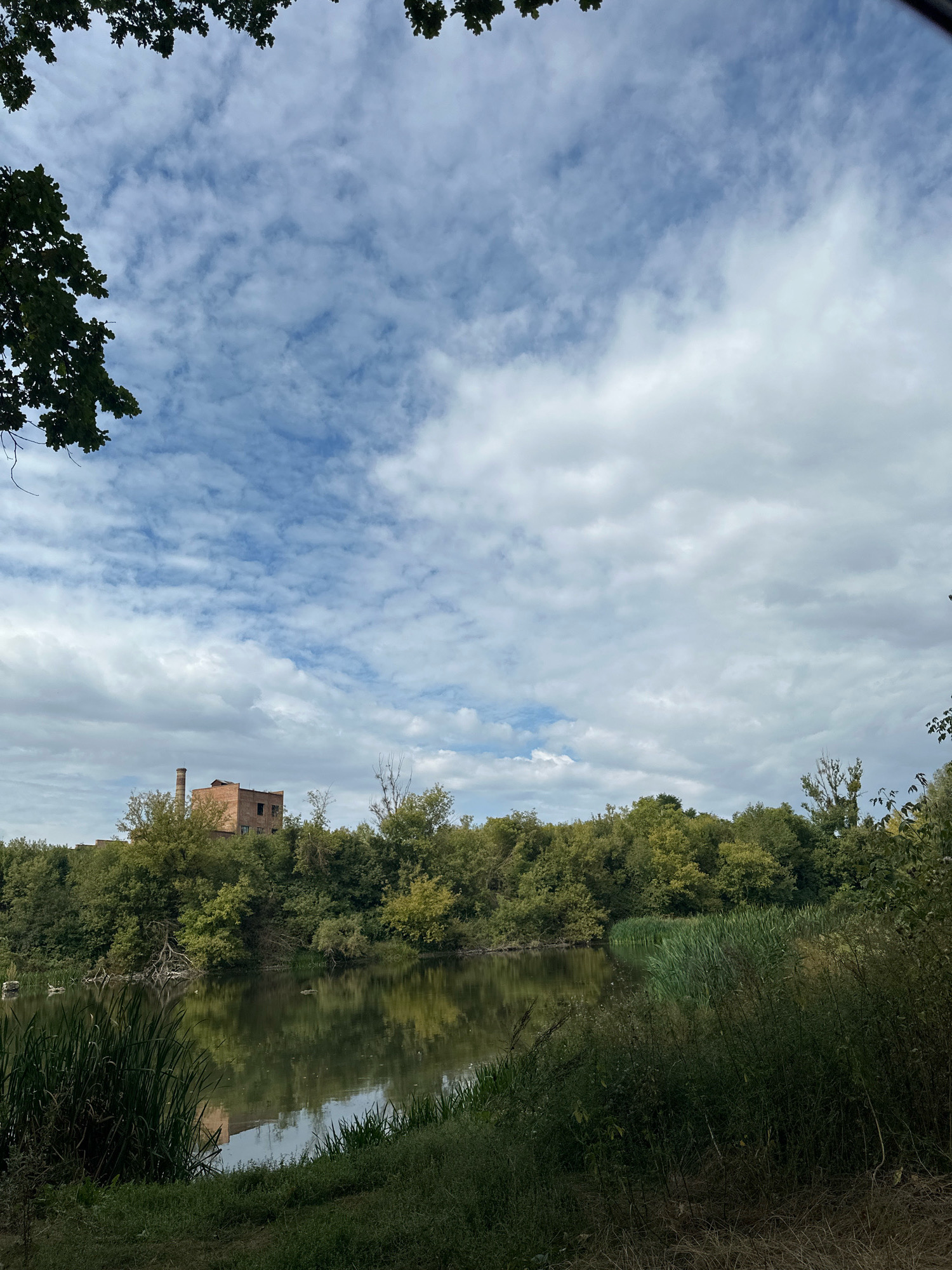An overcast day is depicted over a wide, slow-moving body of water in Makiv, Ukraine. Trees with green foliage line the far bank, with an abandoned brick building with a tall smokestack visible above the treeline. The foreground consists of lush green grass and tall reeds growing along the water's edge. The sky is a mix of blue patches and white, fluffy clouds. The water's surface is calm, reflecting the trees and sky.