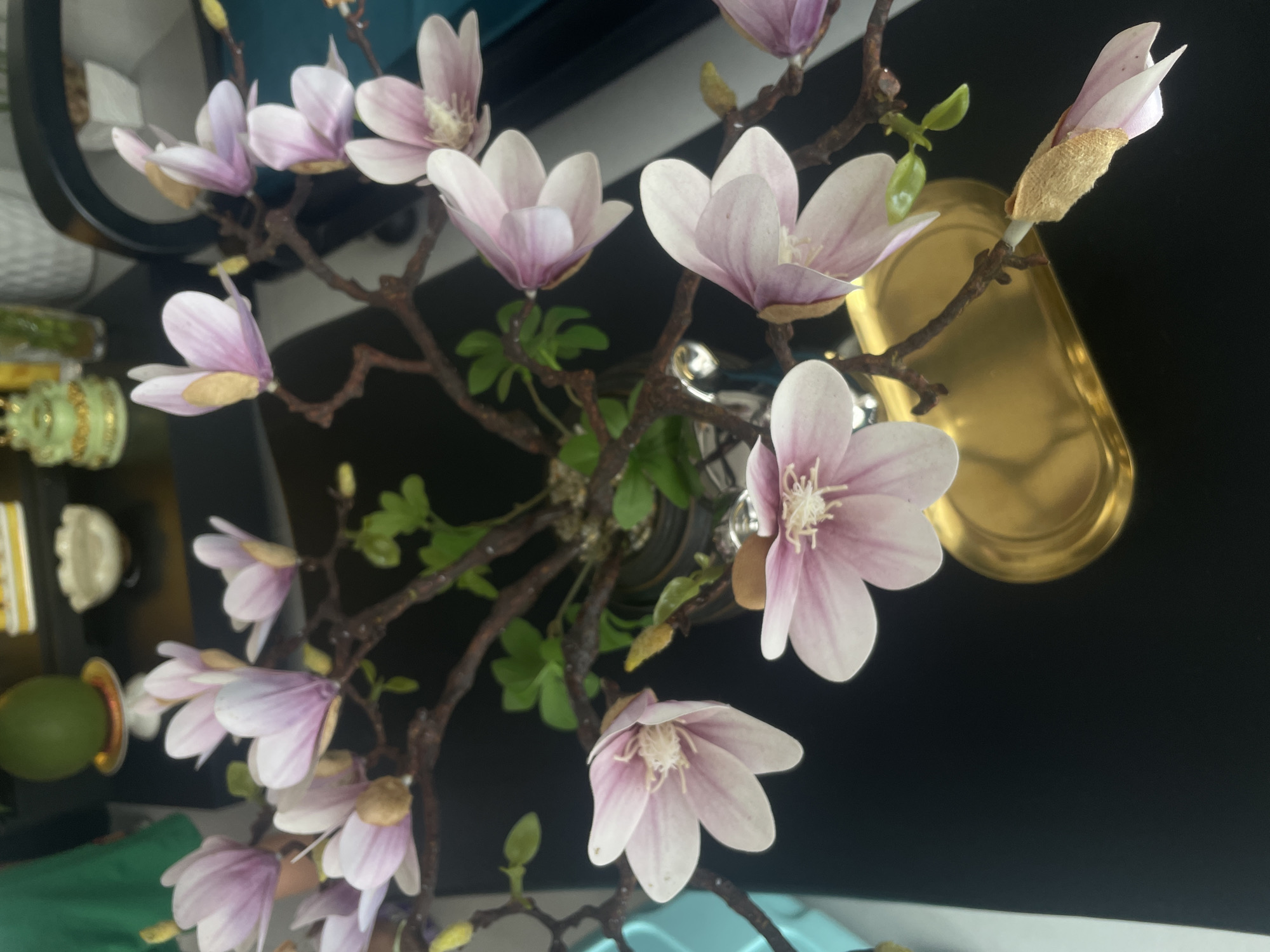 The image displays a close-up of artificial magnolia branches adorned with delicate pink and white blossoms. The flowers, with their layered petals and light purple-tinged edges, are the primary subject. Some of the buds are visible, appearing as small, pale green or yellowish nubs. The branches are a dark, woody brown, with thin, spindly stems and occasional small, green leaves.
In the background, a dark, likely black, surface dominates. To the right, a golden, tray-like object with a curved edge is partially visible, reflecting light. To the left, out of focus, are hints of other objects, including a green spherical item and what appears to be decorative ceramic pieces with intricate patterns and metallic accents. The overall setting suggests an indoor display, possibly a decorative arrangement in a home or a shop. The lighting is consistent, indicating an indoor environment, and no specific time of day or weather conditions are discernible. There is no visible text in the image.