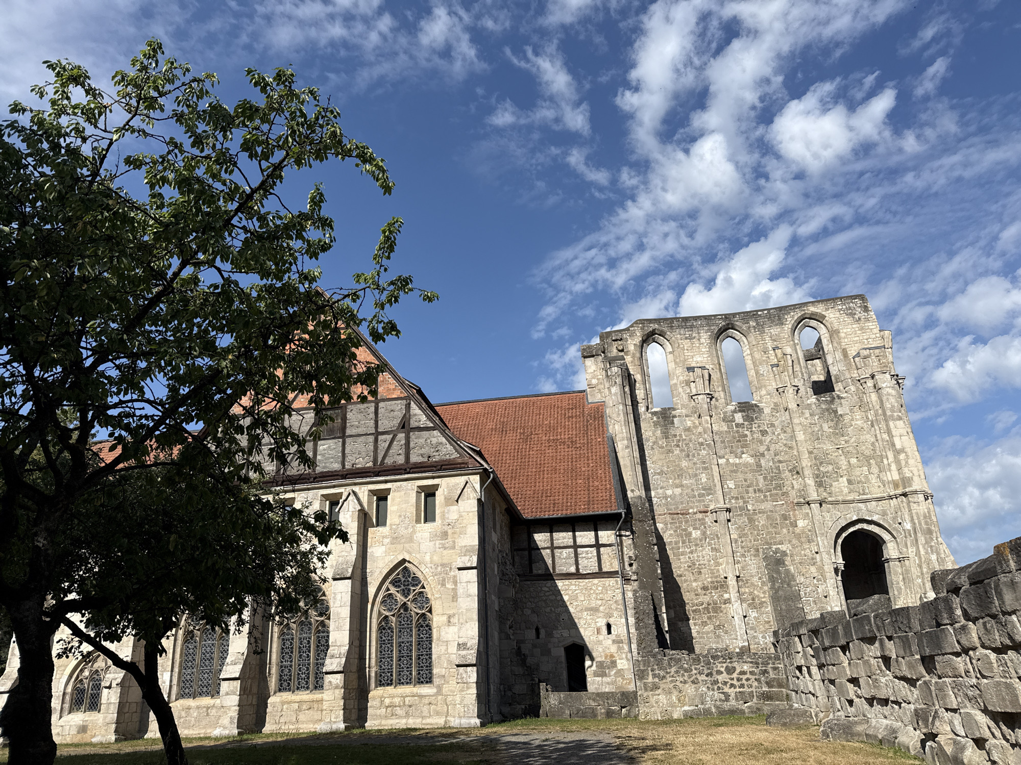 A low-angle medium shot shows a partially ruined Gothic-style stone church building with a red-tiled roof on the left, and a taller, more ruined stone structure on the right. The buildings are set against a bright blue sky with scattered white clouds. A large, leafy green tree is in the foreground on the left, obscuring a portion of the church. The church has large, pointed windows with intricate stone tracery and leaded glass. Part of the building features half-timbered construction. The ruined structure on the right is made of rough-hewn stone blocks and has several arched openings at the top. A low stone wall, also made of rough blocks, runs in front of the ruined structure. The ground in front of the buildings is covered in dry, yellowish grass. The image appears to be taken on a sunny day. The location is the Walkenried Abbey in Walkenried, Germany.