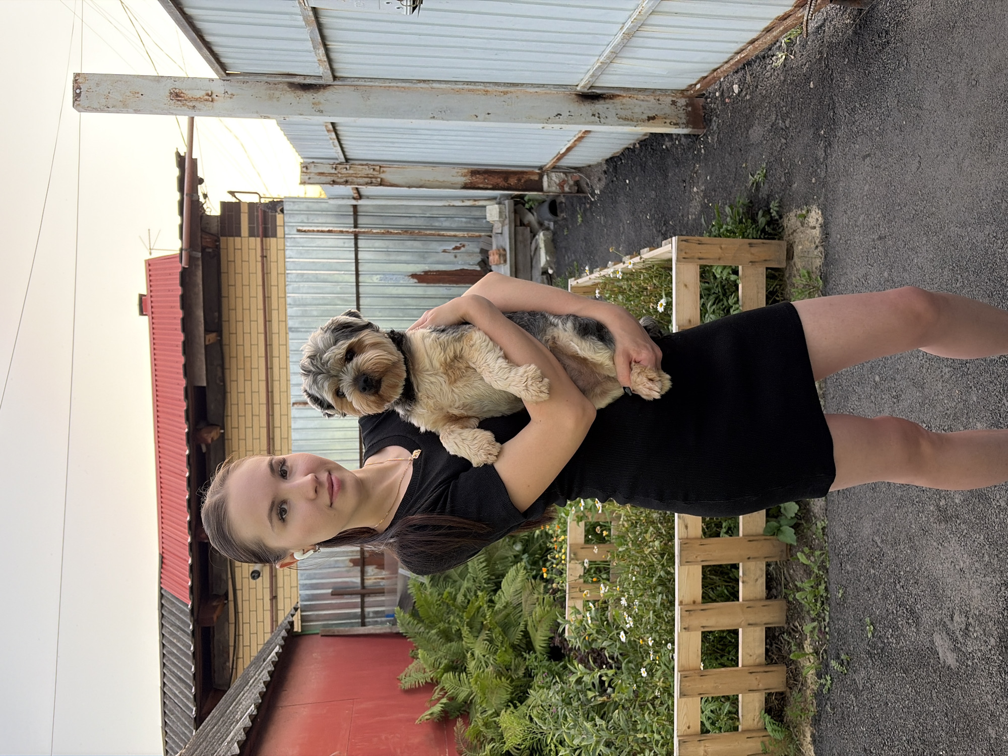 In Tambov, Russia, a young woman stands outdoors, holding a small, tan and grey dog. She wears a black, short-sleeved dress and white wireless earbuds. The dog is held in her arms. Behind them, a red-roofed building with yellow brick walls is visible, adjacent to a red-painted structure. A garden bed with small white flowers and greenery is bordered by a wooden fence in the foreground. A tall, corrugated metal fence runs along the right side of the image. The ground is covered in dark asphalt. The sky is overcast.