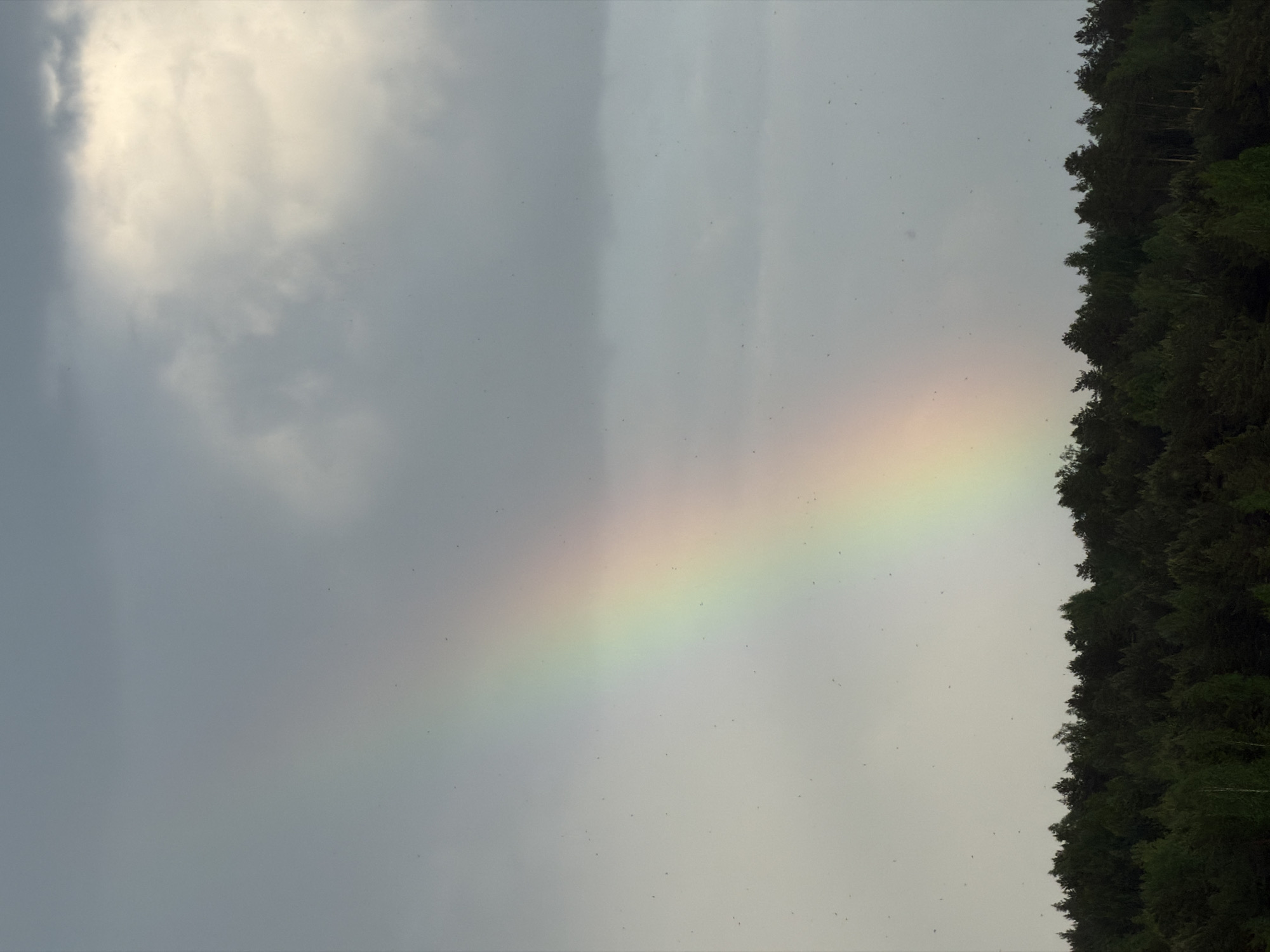 The image shows a rainbow in a cloudy sky. The rainbow stretches horizontally across the image, with the left side near heavy cloud cover and the right side near the edge of a dark forest. The sky is generally overcast. The location is Kanifol'nyi, Russia.