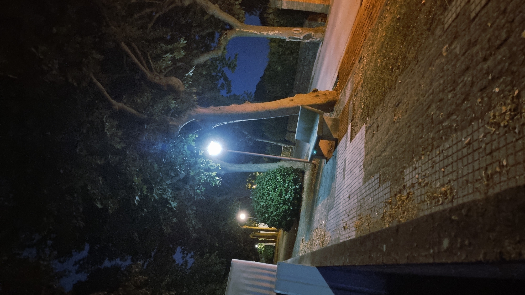 The image depicts a nighttime scene in what appears to be a park or a tree-lined street in Sant Joan Les Fonts, Spain. A concrete bench is situated on a paved walkway, illuminated by a street lamp. The walkway is made of square tiles and is partially covered with fallen leaves. Adjacent to the walkway is a grassy area, also showing signs of scattered leaves. Several mature trees with visible branches and foliage line the scene. Another street lamp is visible in the background, casting light on a neatly trimmed green hedge. A road runs alongside the walkway, and in the far background, a dark, tree-covered hillside is visible against the night sky. A low wall with a blue stripe runs along the left edge of the foreground. There are no people or animals visible in the frame.