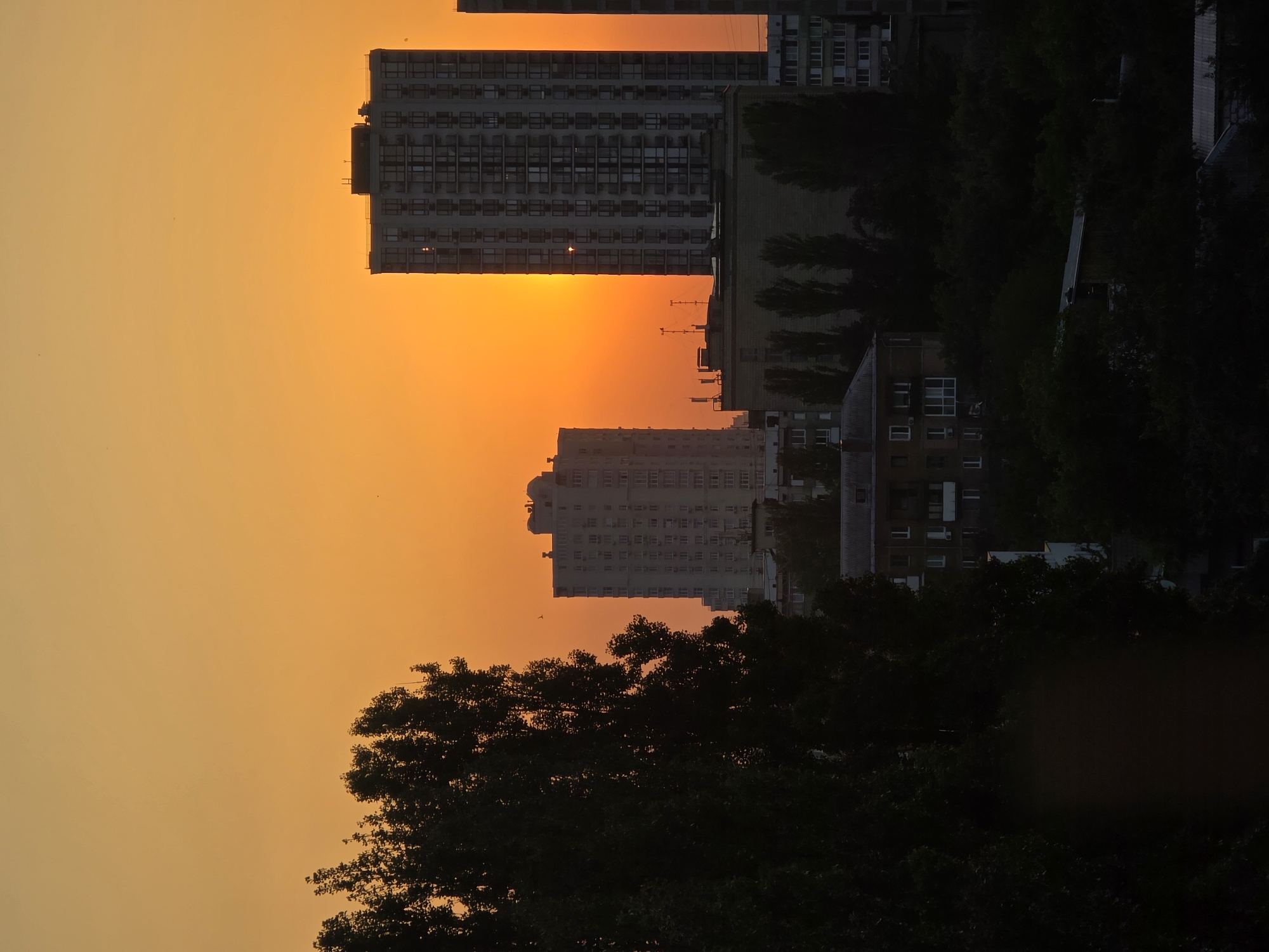 A sunset scene over the city of Kyiv, Ukraine, features a vibrant orange sky illuminating the silhouettes of apartment buildings and trees. The sun's rays are visible, casting a warm glow on the scene. Several multi-story apartment buildings are prominent, with the one on the right being the tallest and widest. The foreground is dominated by the dark silhouette of a large tree, its branches extending across the left side of the frame. In the mid-ground, other buildings and trees are visible, also in silhouette against the bright sky. The overall impression is one of a tranquil evening in an urban setting.