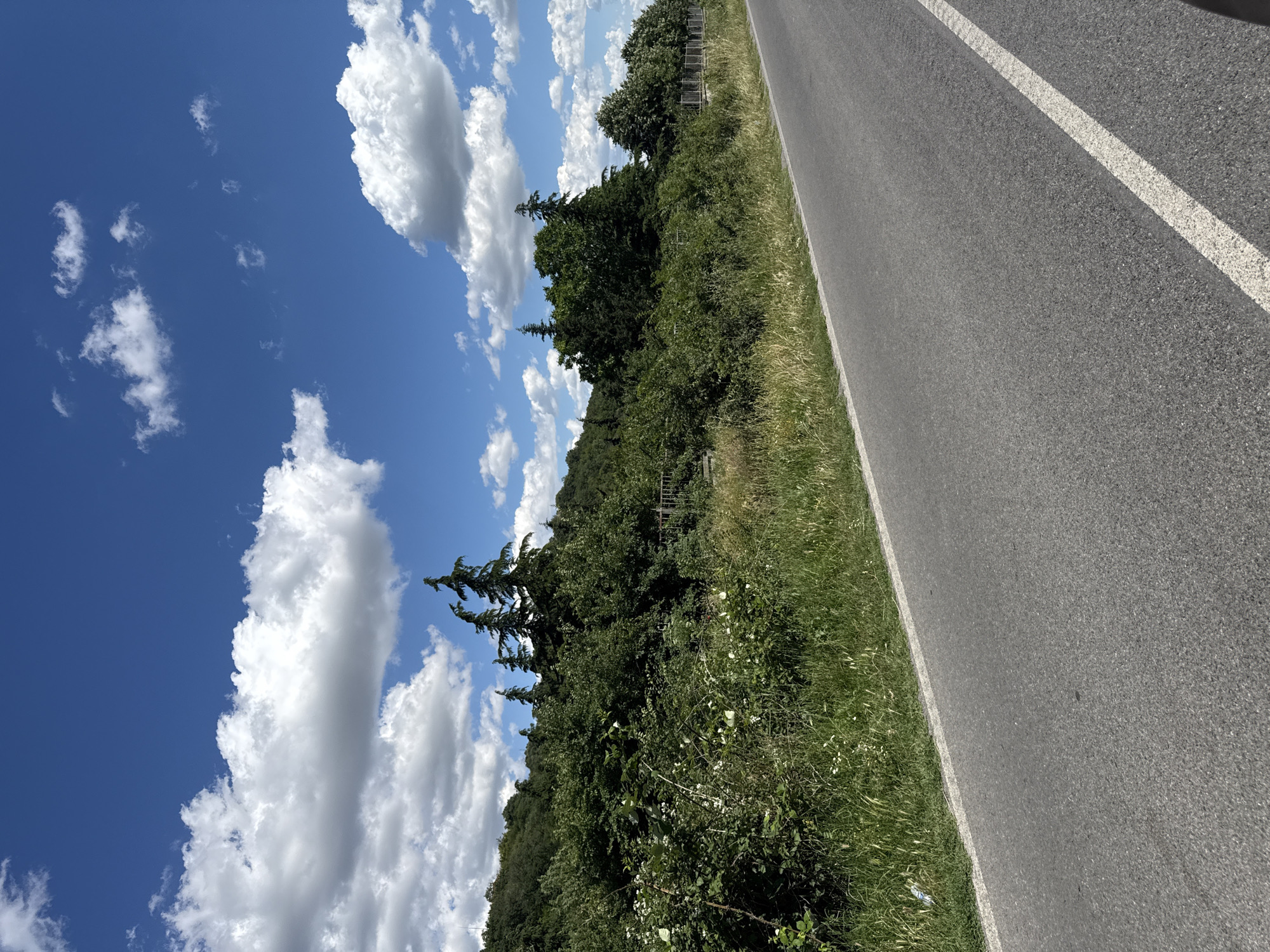 The image shows a paved road in the city of Sotirya, Bulgaria, on a bright, sunny day. The road is empty, with a single white line marking the lane. To the left of the road is a grassy embankment covered in lush green vegetation, including bushes and trees. In the background, a densely wooded hill rises, topped with a bright blue sky filled with scattered white clouds. The overall scene is serene and natural, suggesting a quiet, rural setting.