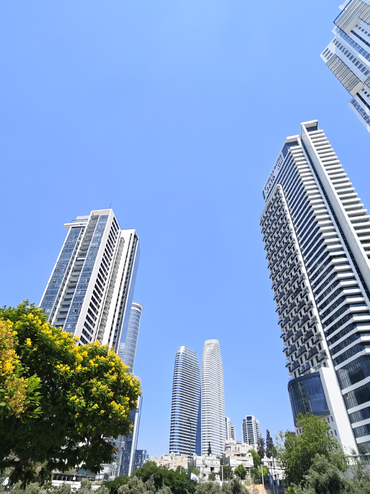 This is a low-angle, wide shot of a modern urban cityscape with several tall, contemporary buildings under a clear blue sky. In the foreground on the left, a vibrant tree with bright yellow flowers and green foliage partially obscures the view of the buildings.
The buildings are primarily white and glass structures, characterized by sharp lines and geometric designs. One prominent building on the right displays text in Hebrew, including "אחדות" (Achdut) and "3616". Another tall, slender white building with a curved facade is visible in the mid-ground to the left. Further to the right, a cluster of smaller buildings and some greenery suggest a lower-rise area within the city. The overall impression is one of contemporary development and architectural diversity.
The image appears to be taken in Givatayim, Israel, given the presence of Hebrew text on one of the buildings, which is consistent with Israeli signage. The sunny weather and clear sky suggest it was taken during the daytime. No people are visible in the image. The scene is static and depicts a typical urban landscape.