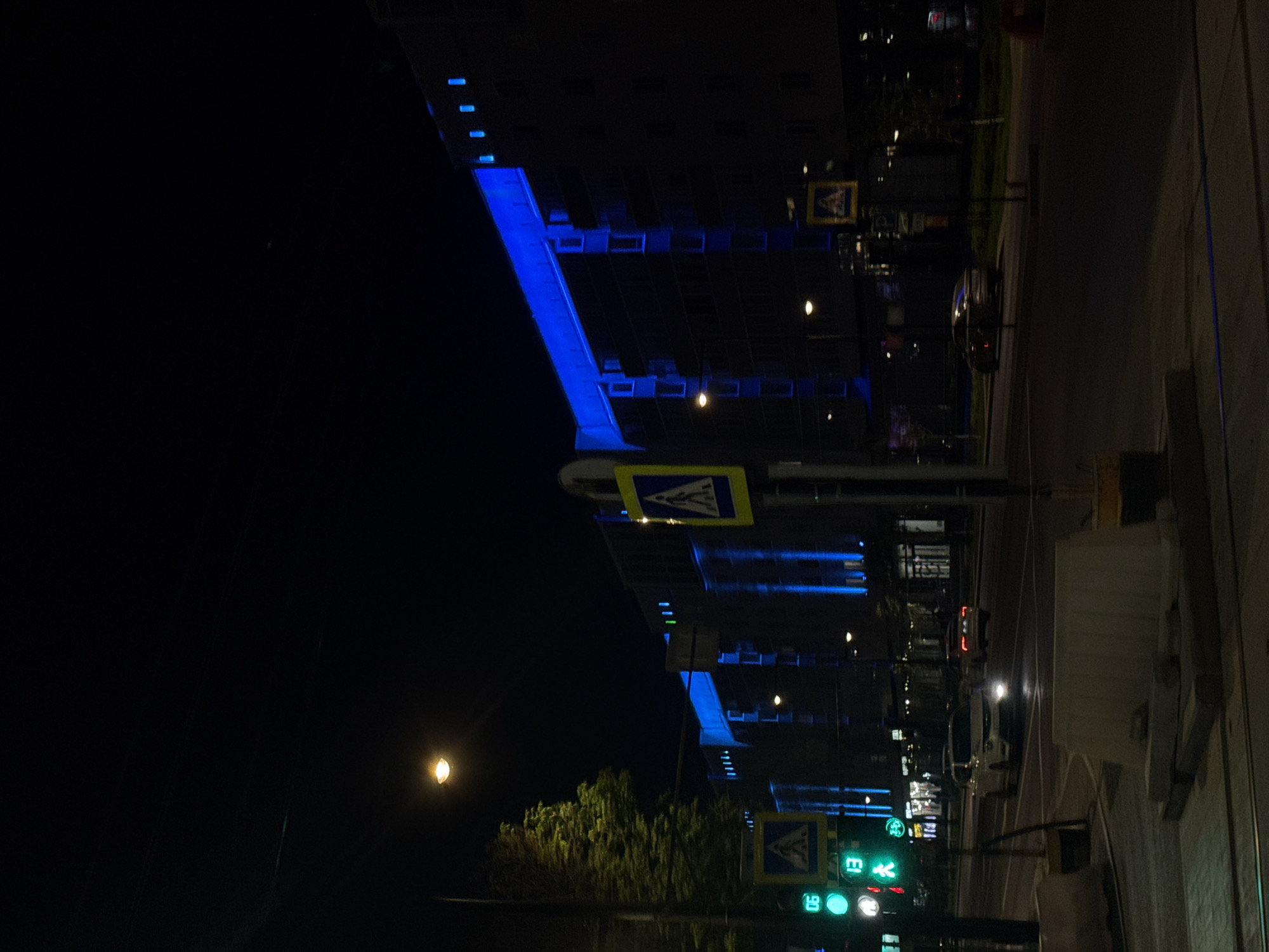 A nighttime scene of a street in Perm, Russia, with a focus on a building illuminated with blue lights. A pedestrian crossing sign is prominently visible, and a traffic light shows a green signal. Streetlights and building lights create a contrast against the dark sky. Cars are visible on the road. Vegetation is present. The overall environment is urban.