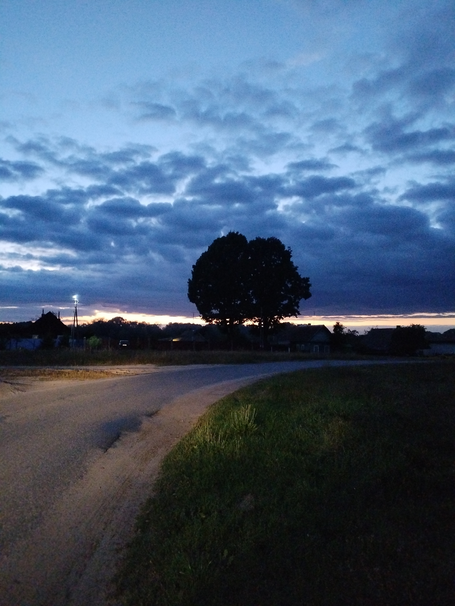 A dirt road curves through a rural landscape under a cloudy twilight sky. On the left, a few silhouetted houses and a solitary streetlamp are visible, with a dark, dense tree dominating the center-right of the frame. The ground on the right is covered in dark grass. The scene suggests a quiet evening in a village, potentially Bialynichy, Belarus, given the context.