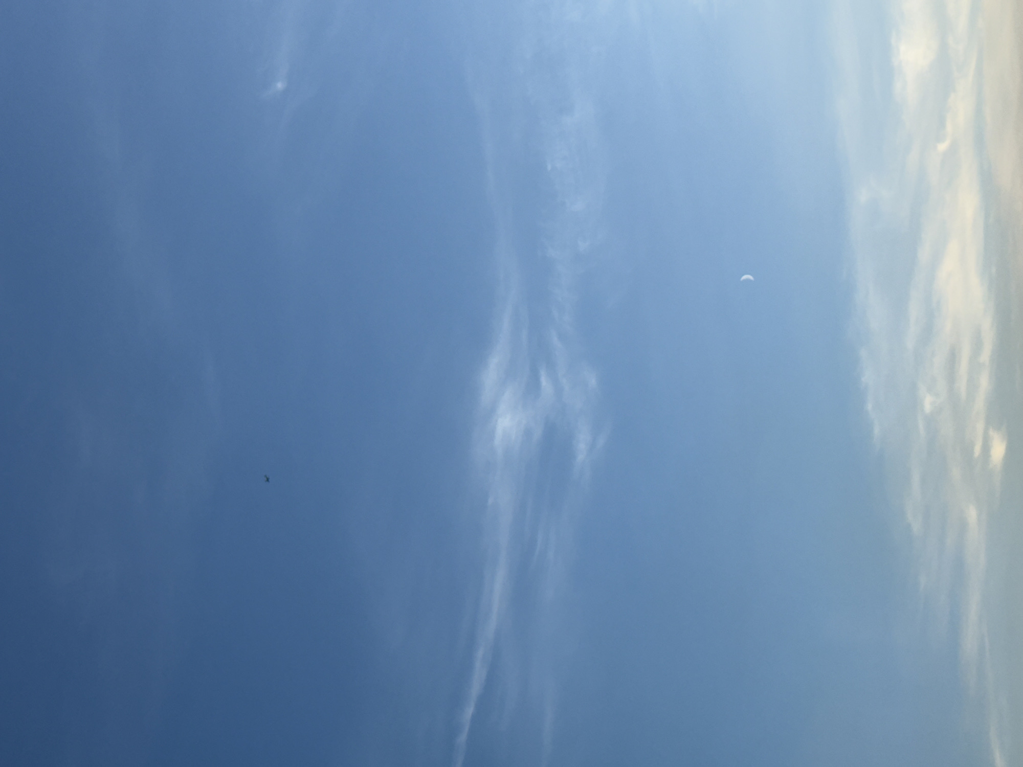 The image shows a clear blue sky with scattered wispy white clouds. A small dark silhouette of an airplane is visible high in the sky, to the upper left of the frame. Towards the lower right of the frame, a crescent moon is faintly visible. The bottom portion of the image shows more dense clouds with hints of yellow and white, suggesting it might be near sunrise or sunset. The scene appears to be an outdoor shot of the sky. No specific location in Lyubertsy, Russia is identifiable from the image.