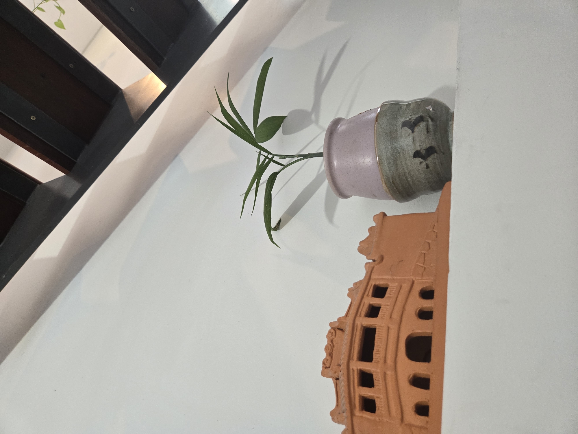 The image shows a plant in a pot sitting on a decorative terracotta tile against a white wall in a building in Hà Nội, Vietnam. The plant has long, green leaves. The pot is pink with a green top. The terracotta tile is designed to resemble a building with windows. Part of a staircase is visible in the upper left corner of the image.