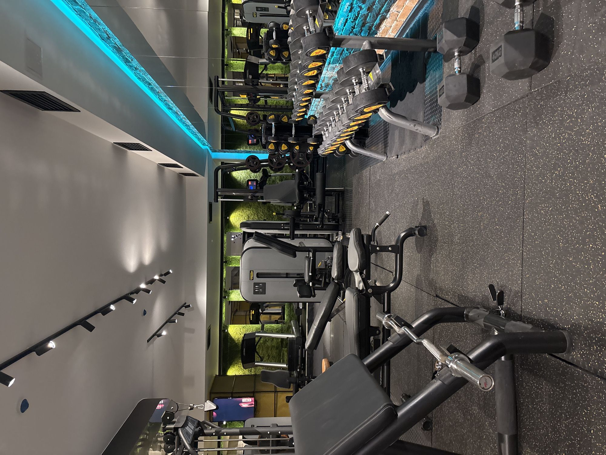 This is a medium shot of a modern gym. The gym features a variety of weightlifting equipment, including dumbbell racks with a range of weights, and various weight machines. The walls are white, and track lighting is installed on the ceiling. A mirror runs along one wall, and artificial greenery is visible in the reflection. The floor is black rubber. The gym is located in Ruse, Bulgaria. No people are visible in the scene.