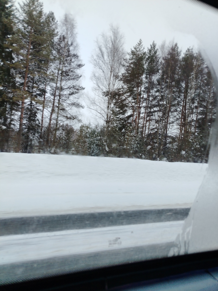A winter scene viewed through a car window shows a snow-covered landscape. Trees, some evergreen and others bare, line the horizon. A thick layer of snow covers the ground, blending with the overcast sky. The car window is partially obscured by condensation or frost, particularly on the right edge, suggesting the cold outside temperature. A blurry section on the bottom of the image indicates the interior of the car.