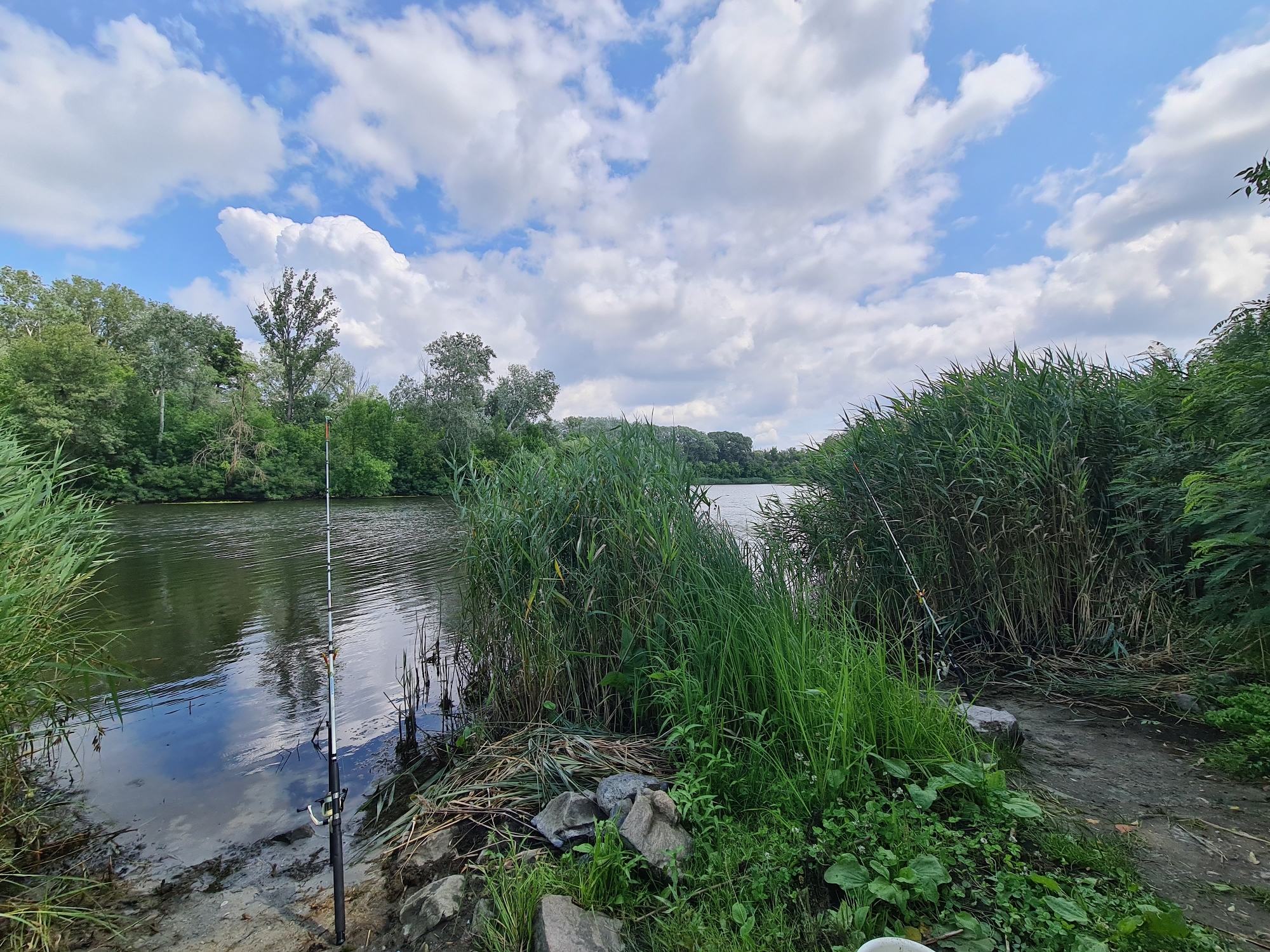 An outdoor, wide-angle shot captures a calm riverbank scene in Potoky, Ukraine, under a partly cloudy sky. The foreground is dominated by lush green reeds and grass growing on a muddy bank strewn with large grey rocks. A fishing rod stands upright in the mud near the water's edge, its tip reaching high into the frame. To the left, the river's surface is a dark, reflective expanse, mirroring the sky and the dense green trees lining the opposite bank. Another fishing rod can be seen partially obscured by reeds on the right side of the frame, near the water. The overall impression is one of peaceful, natural tranquility.
