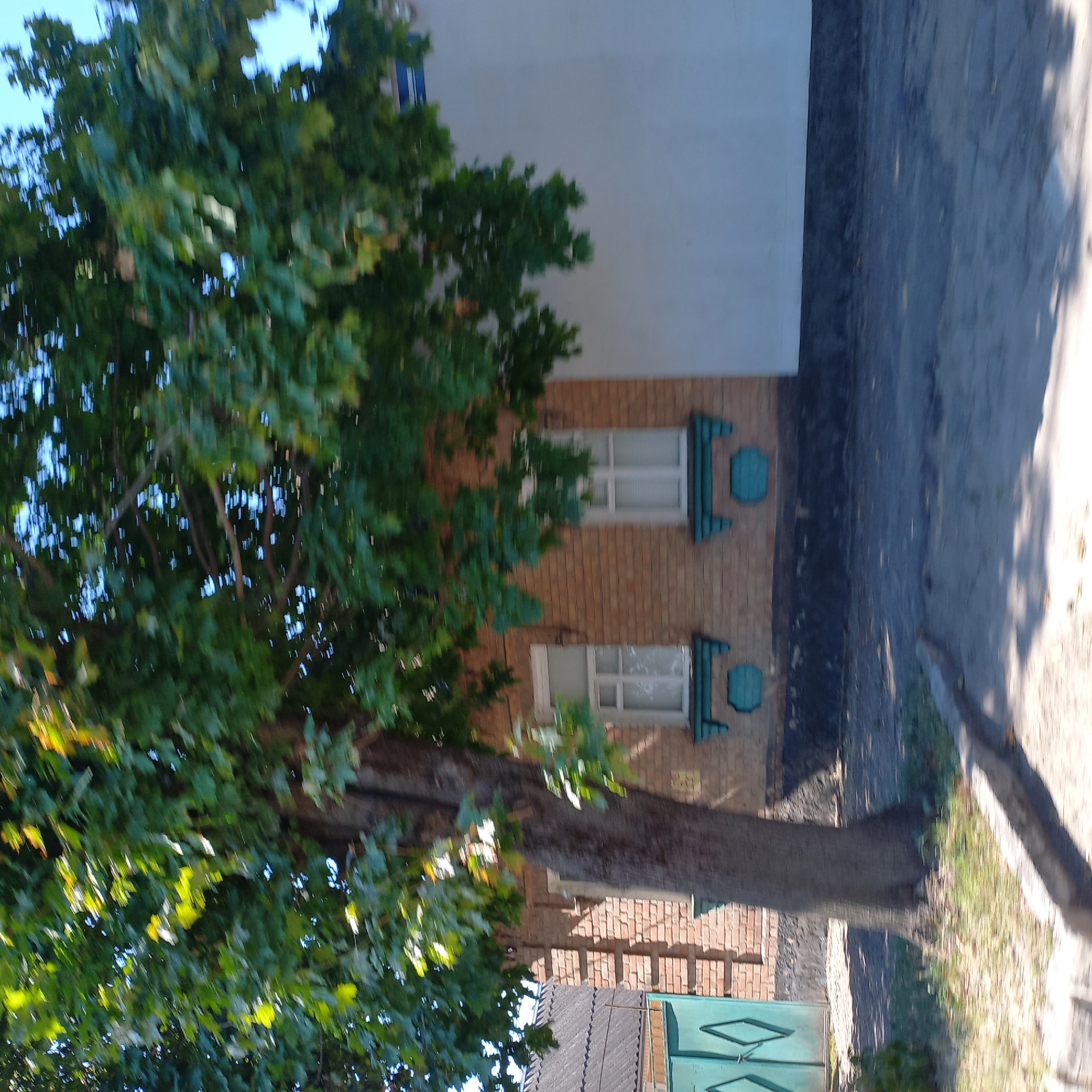 The image depicts a street scene in Kropyvnytskyi, Ukraine, featuring a large tree with lush green foliage dominating the foreground. The tree's trunk is thick and textured, positioned to the left of the frame. Behind the tree, a building constructed of light brown brick is visible. This building has at least two windows with white frames and what appear to be blinds. Decorative teal trim is present beneath the windows and also below them. To the far left of the image, a portion of a grey roof and a turquoise metal gate with a diamond pattern are visible, suggesting a residential or utility area. The ground in front of the building is a mix of asphalt and some grassy patches, with a curb visible in the lower foreground. The lighting suggests it is daytime, with sunlight casting shadows. The overall impression is of a slightly weathered, perhaps older, building adjacent to a well-established tree.