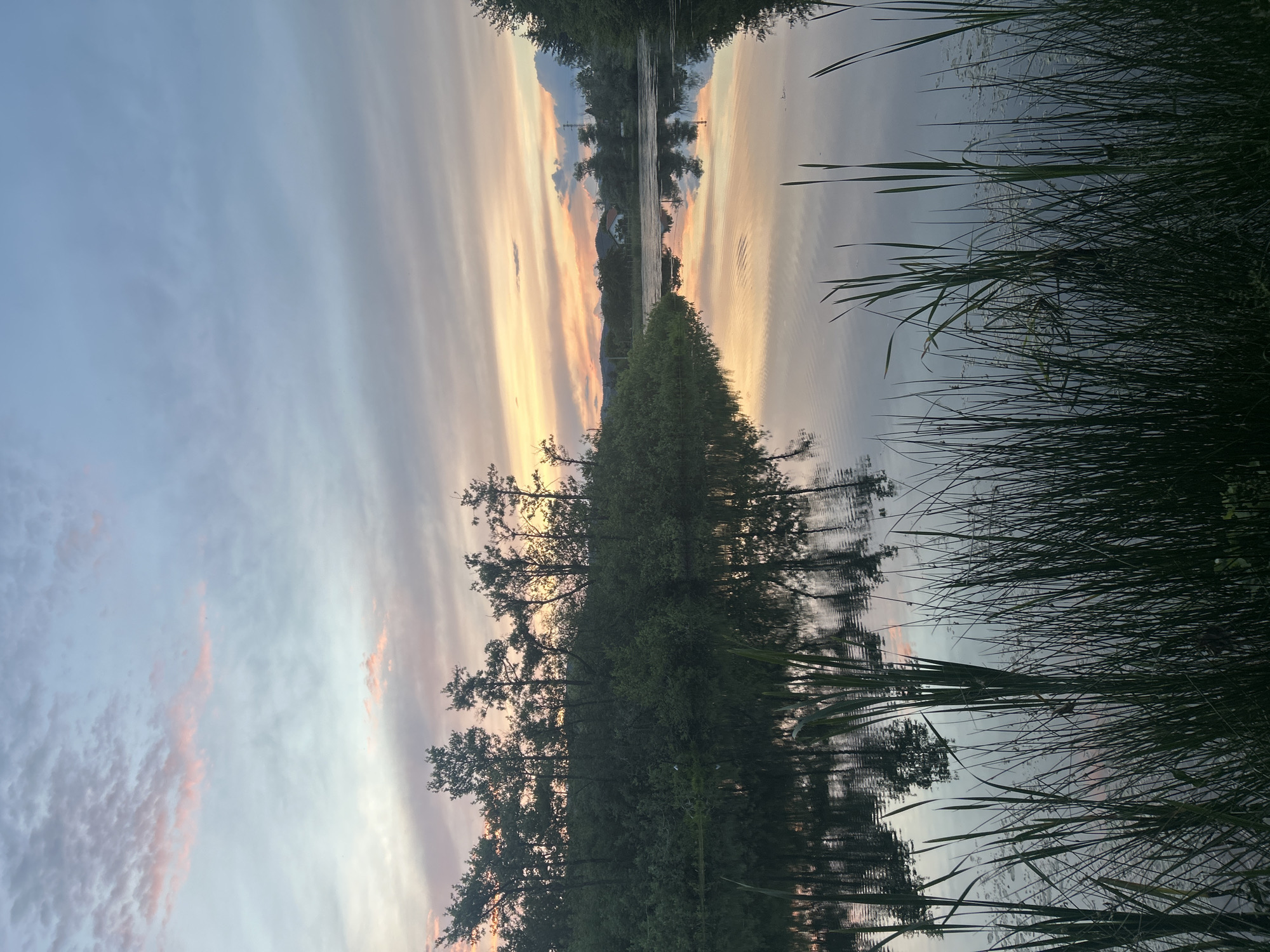 The image depicts a tranquil sunset over a calm body of water, likely a lake or pond, situated in the city of Lebed, Bulgaria. Tall reeds and grasses in the foreground frame the scene, with their reflections shimmering on the water's surface. In the middle ground, a dense line of trees and bushes borders the water, their silhouettes softened by the evening light. Beyond the trees, a gentle landscape unfolds, with distant hills and a few buildings visible, suggesting a semi-rural or suburban setting within Lebed. The sky above is a canvas of soft colors, with pastel pinks, oranges, and blues streaking across the clouds, reflecting beautifully in the still water. The overall atmosphere is serene and peaceful.