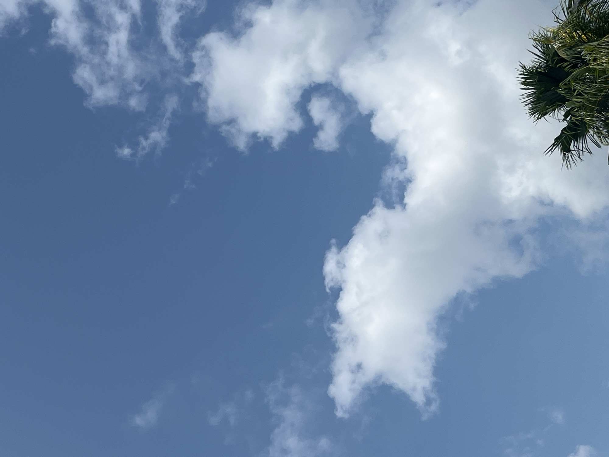 The image depicts a clear blue sky with scattered white clouds. In the bottom right corner, the fronds of a palm tree are visible, suggesting a tropical or subtropical environment. The sky is a dominant feature, occupying the majority of the frame, with the clouds varying in size and density. There is no indication of any specific location within Teluk Air, Indonesia, beyond the general impression of a sunny day with vegetation. The scene is static and devoid of human activity.